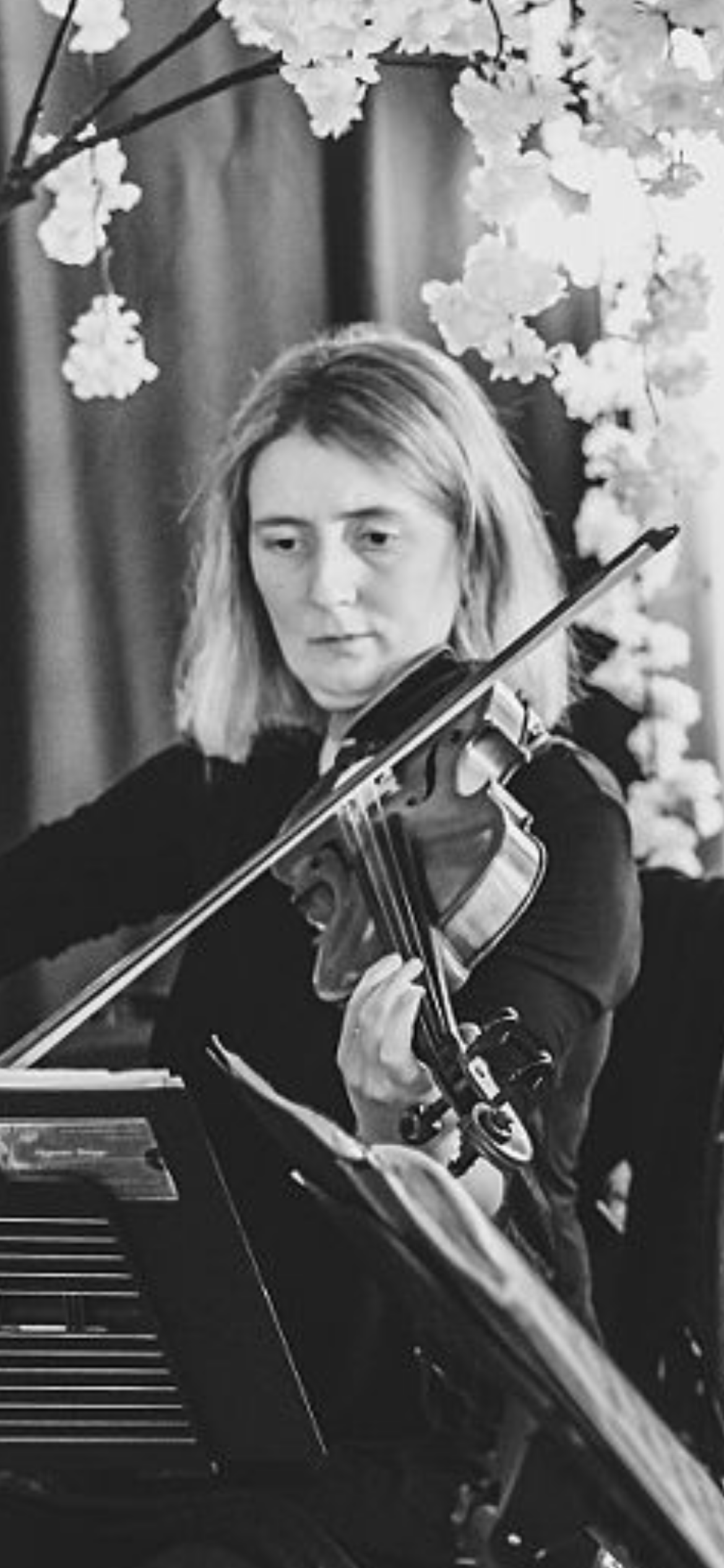 Nell: Acoustic & Electric Violinist
