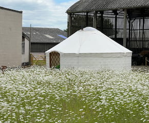 Craftsmen-Made 24ft Yurt for Parties & Events
