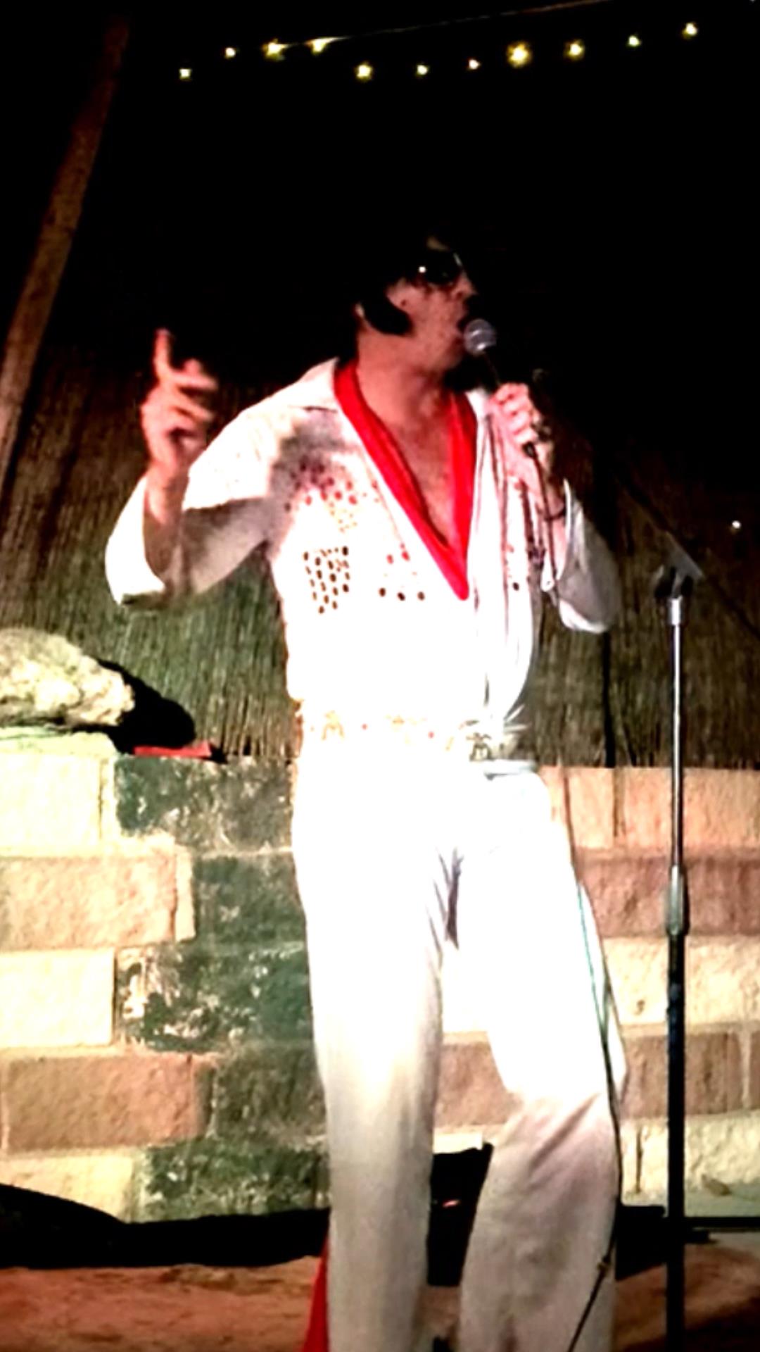 Book The King: All the Hits from Memphis to Las Vegas