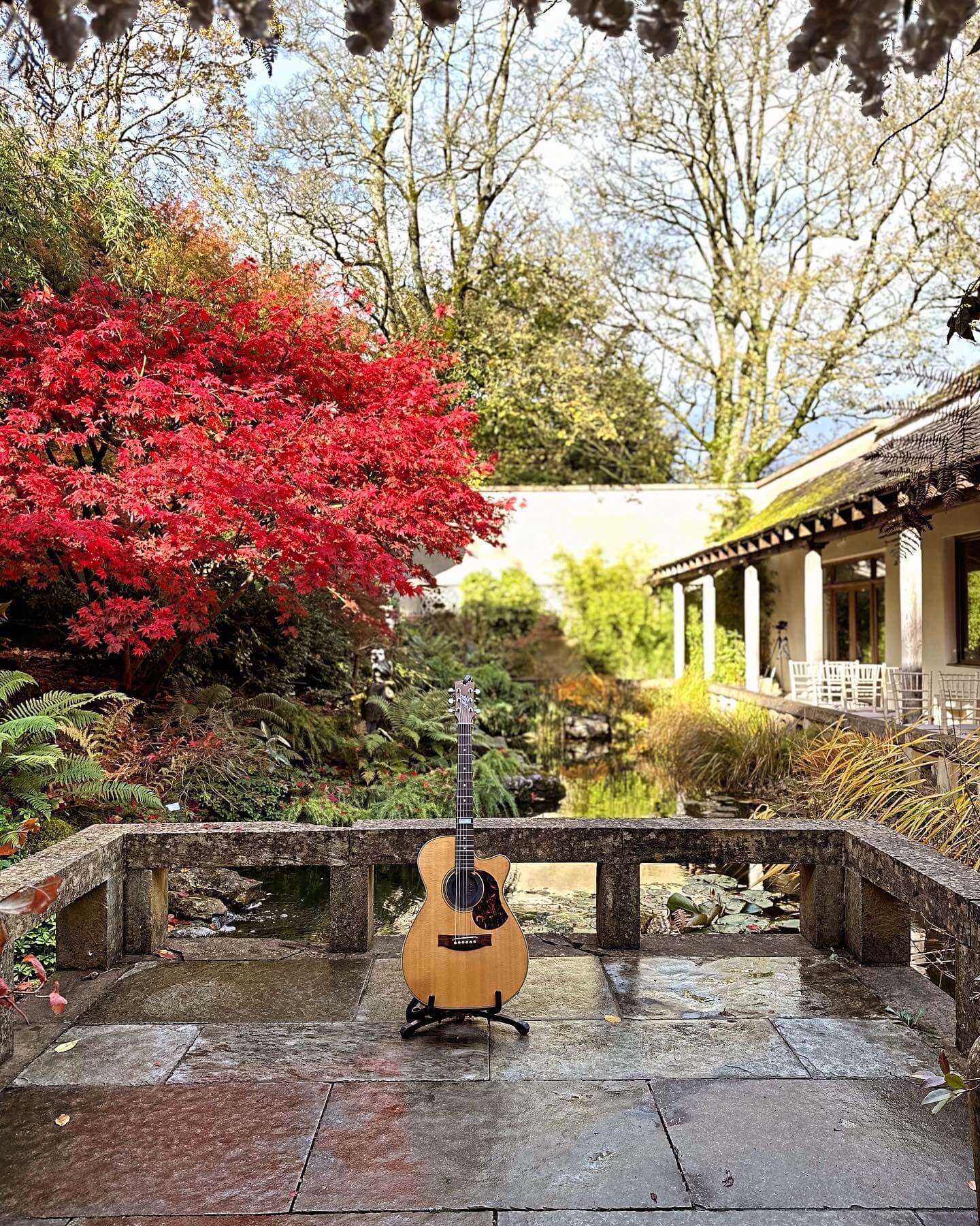 Acoustic Vibes for Modern Love Stories