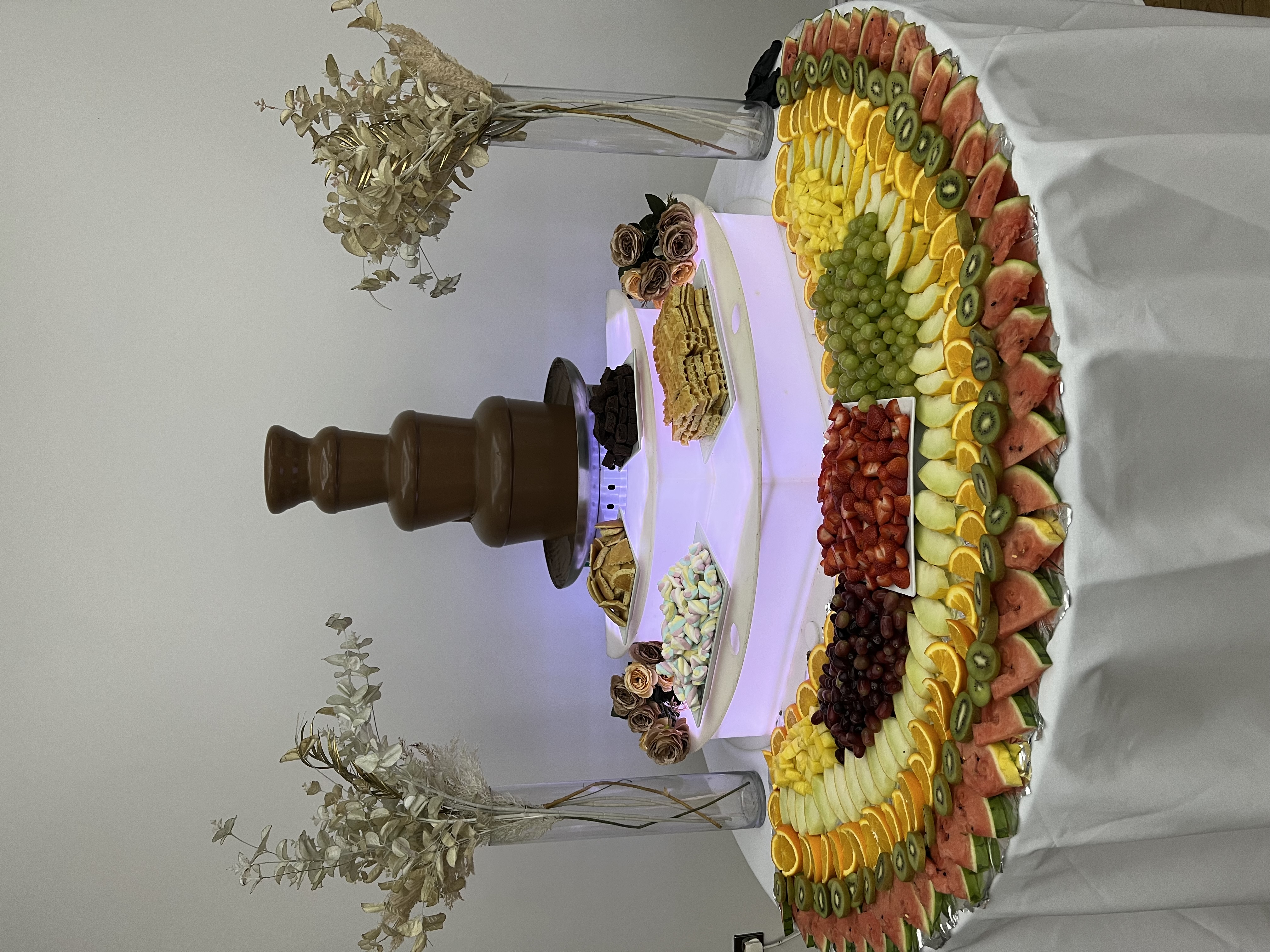 Chocolate Fountain with Fruit Display