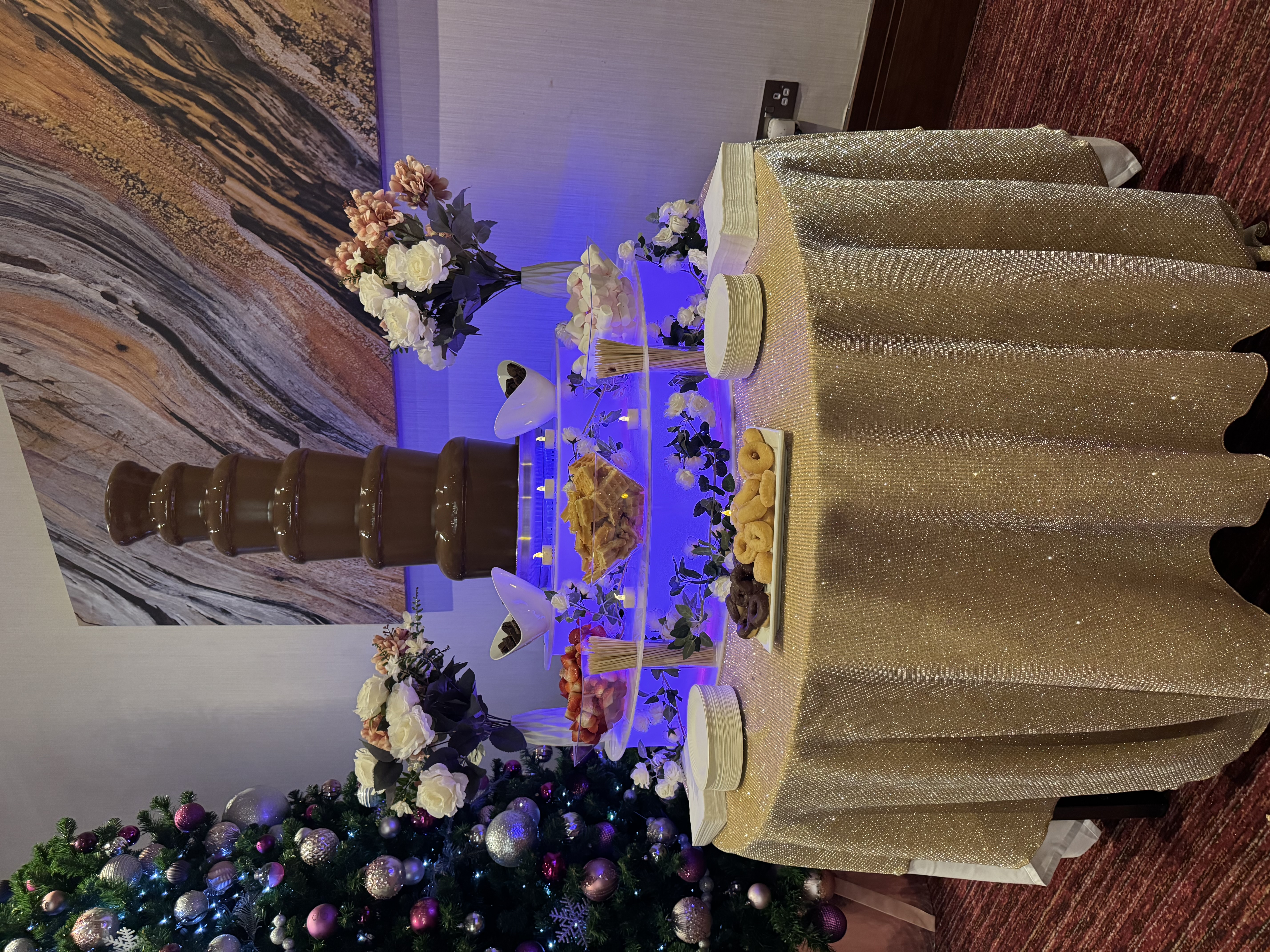 Ultimate Chocolate Fountain with Variety of Dips