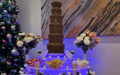 Ultimate Chocolate Fountain with Variety of Dips