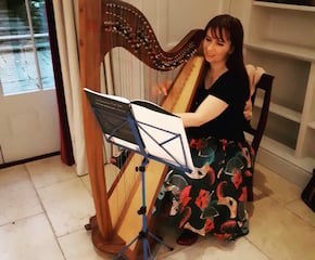 Pianist & Harpist Performance by Anna Purver