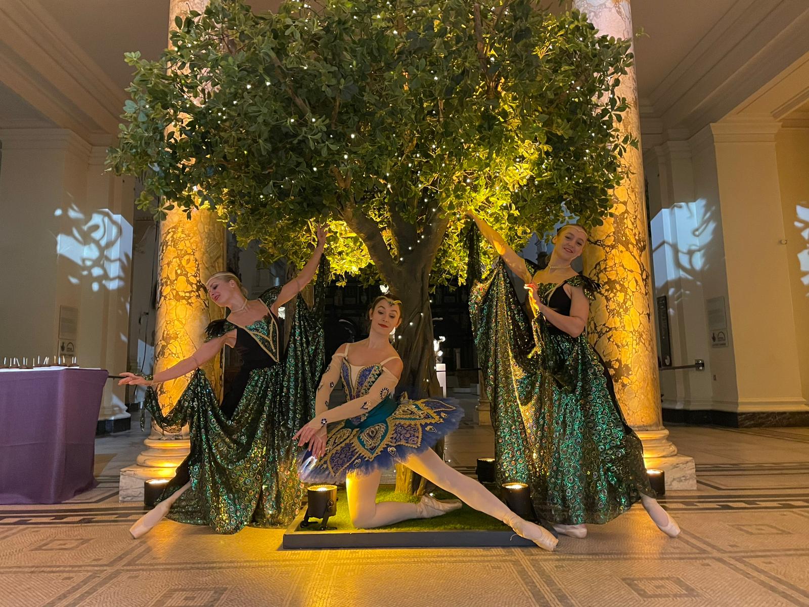Peacock Ballet Dancers: An Elegant Way to Glamorise your Event
