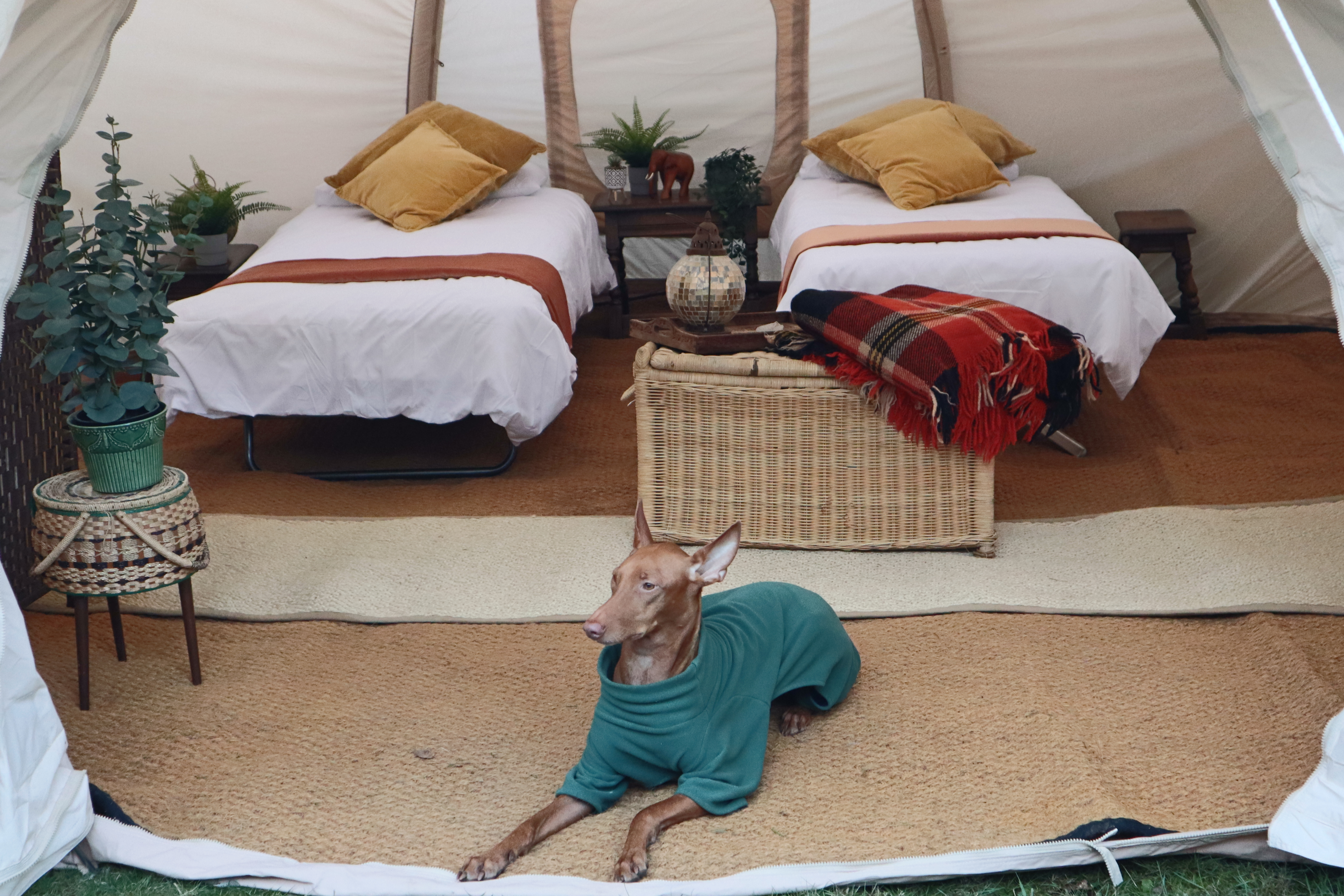 5m Luxury Nova Air Tent – Taller & Roomier Than a Standard Bell Tent