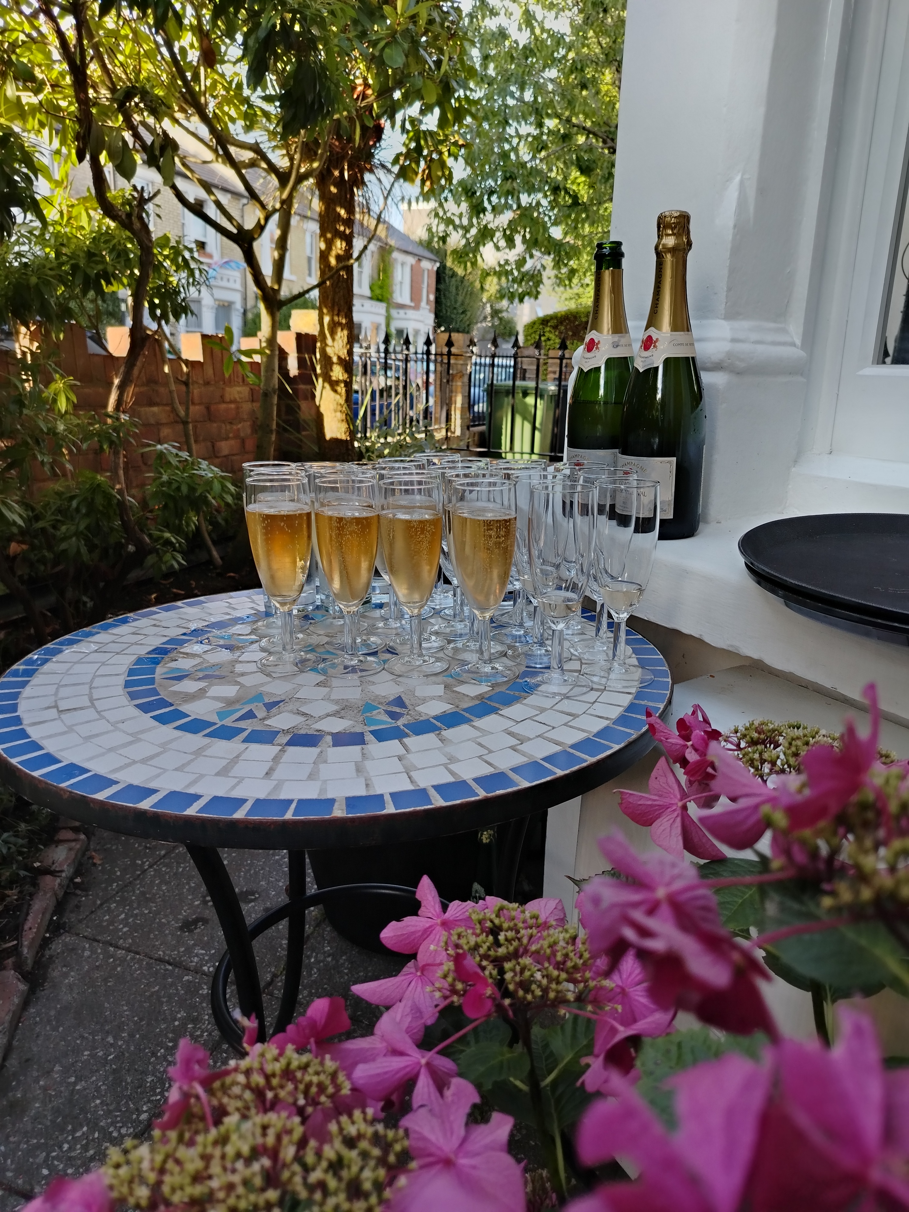 Experienced Professional Waiters