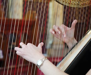 Amie True, Luxury Wedding and Event Harpist