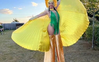 Stilt walkers for hire near best sale me