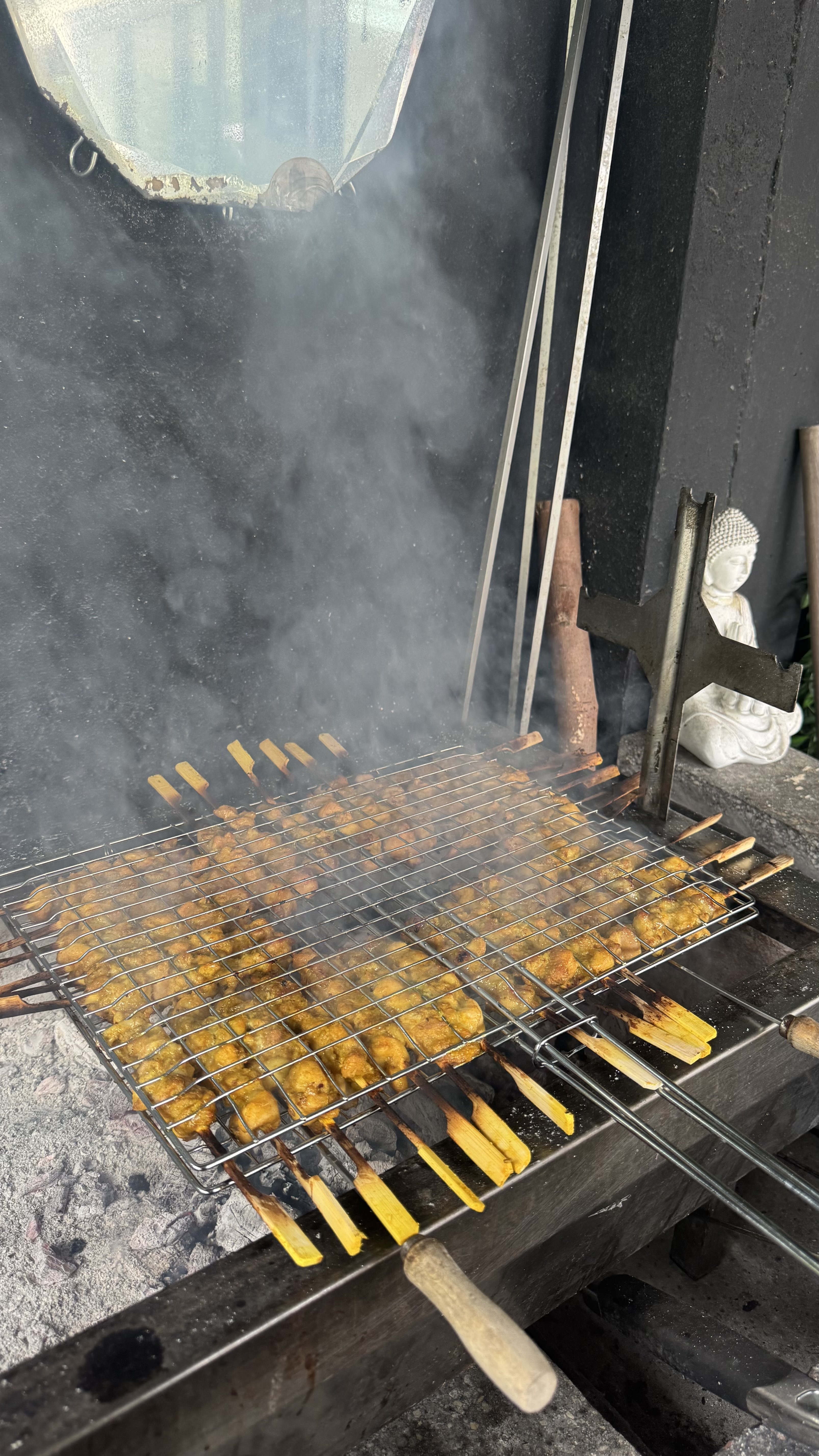 Malaysian Charcoal-Grilled Satay Street Food with Live Grill Experience