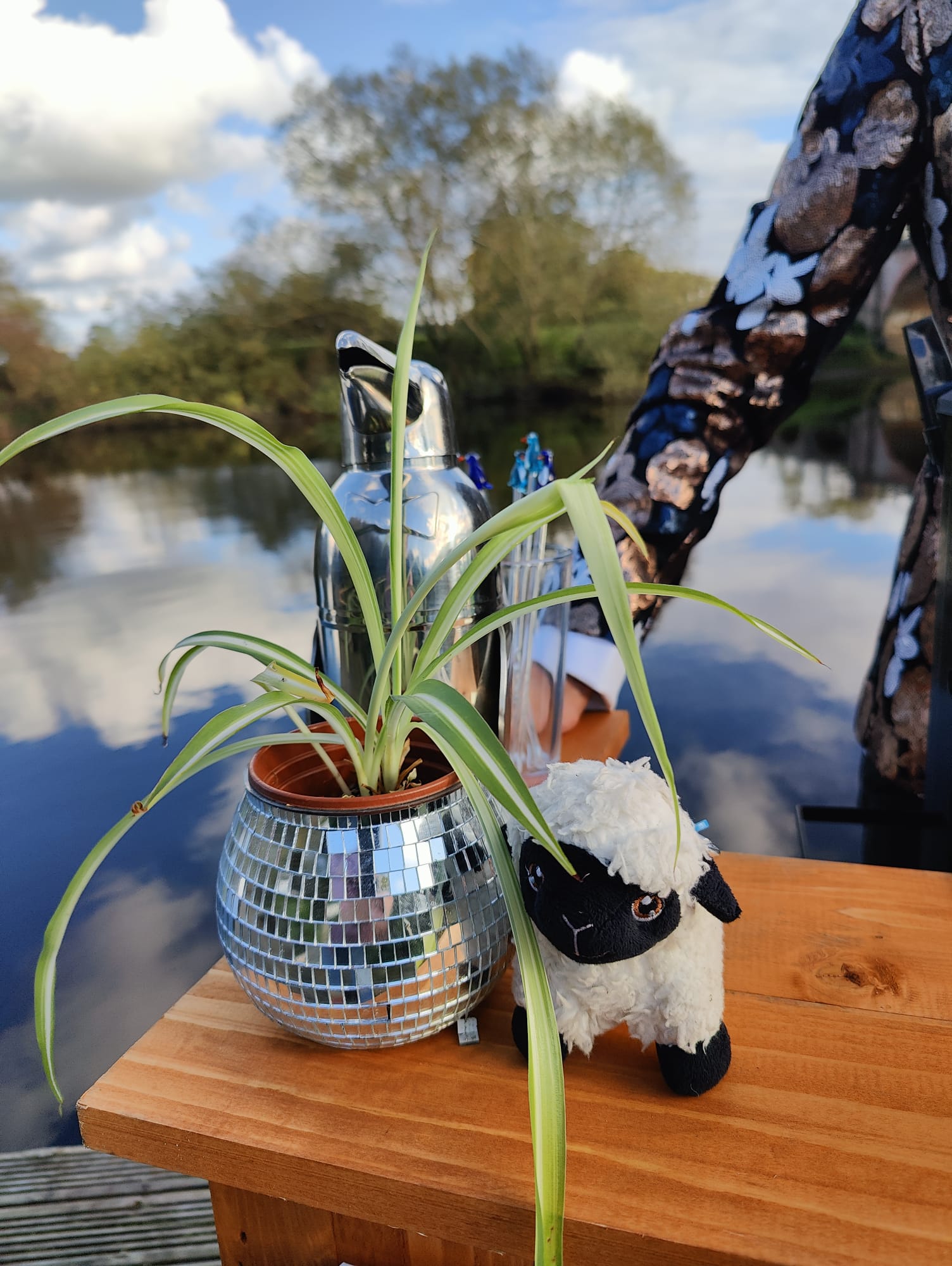 BAAA – A Quirky Mobile Bar for Shepherds & Non-Shepherds Alike!