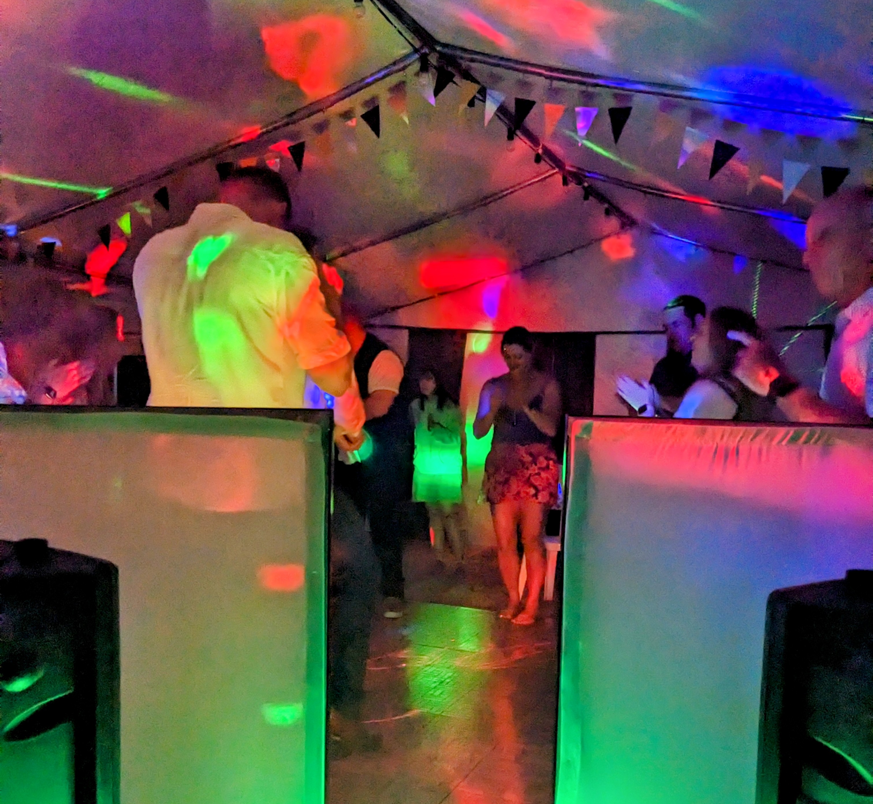 Dance The Night Away with This Professional Disco