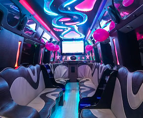 Mercedes Sprinter VIP Party Limo Bus