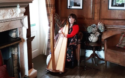 Pianist & Harpist Performance by Anna Purver