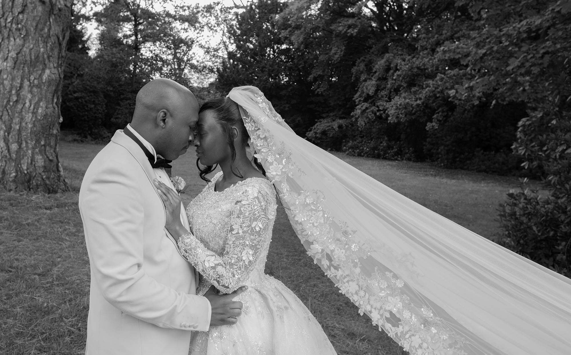 Artistic Documentary Wedding Highlight Films