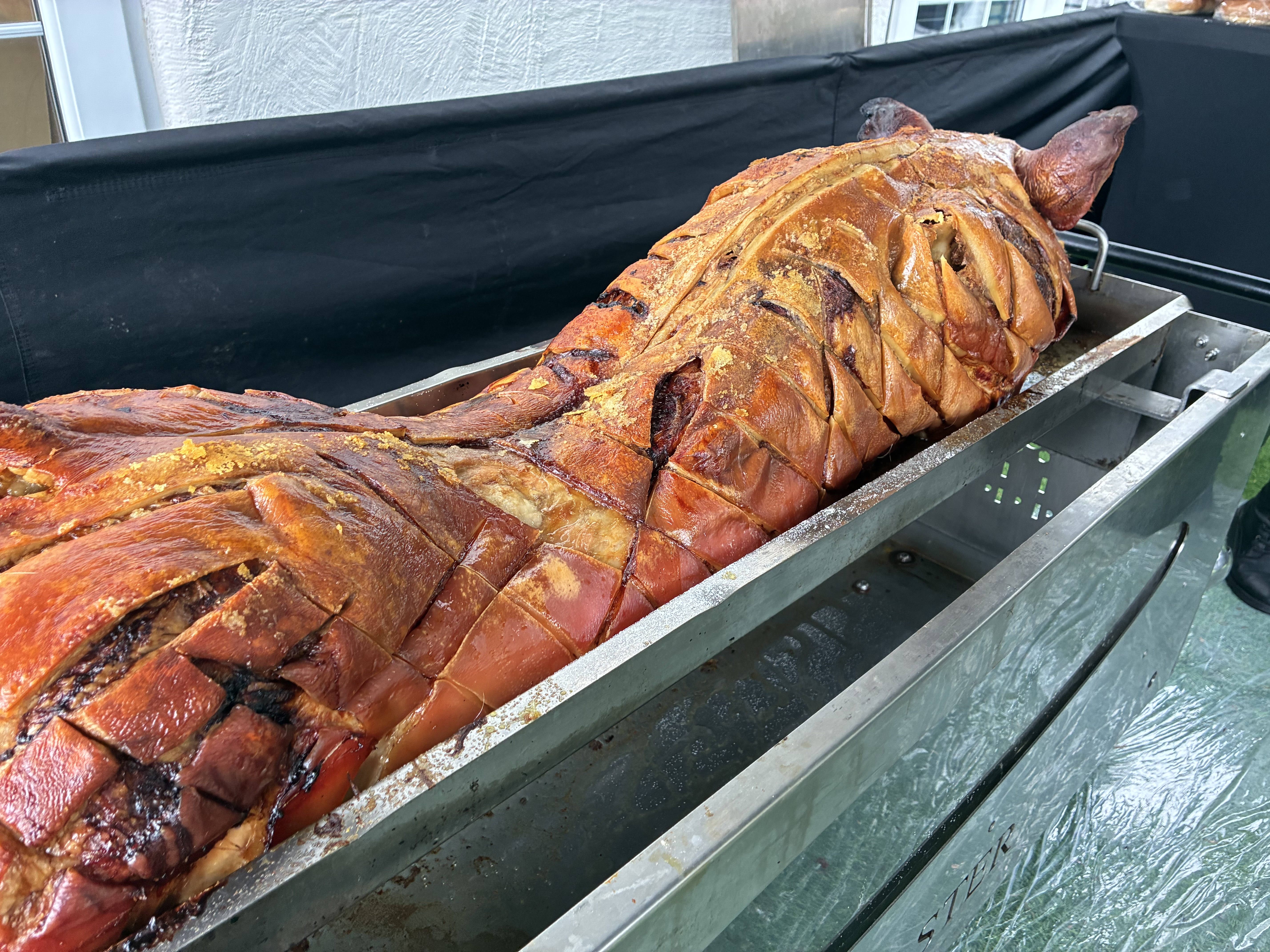 Whole roasted pig in a stainless steel catering tray, scored crackling skin glistening under bright buffet lighting, artful service presentation.