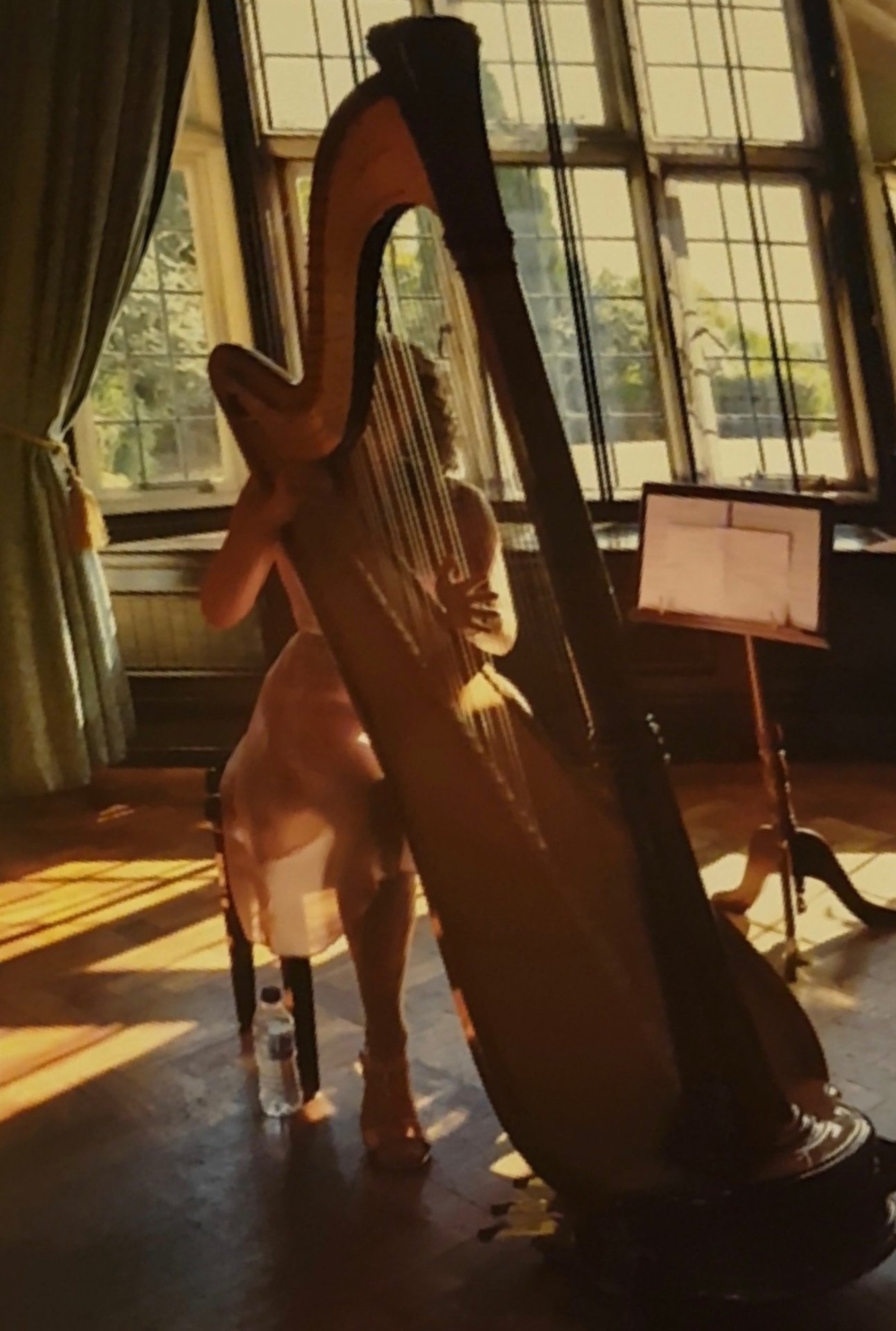 Harpist Lucy Bishop – Bespoke Live Harp Music for Weddings & Events