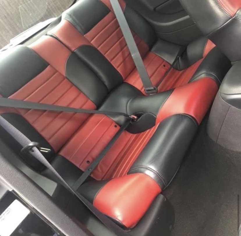 Mustang GT “Barricades” The Law Just Got Louder