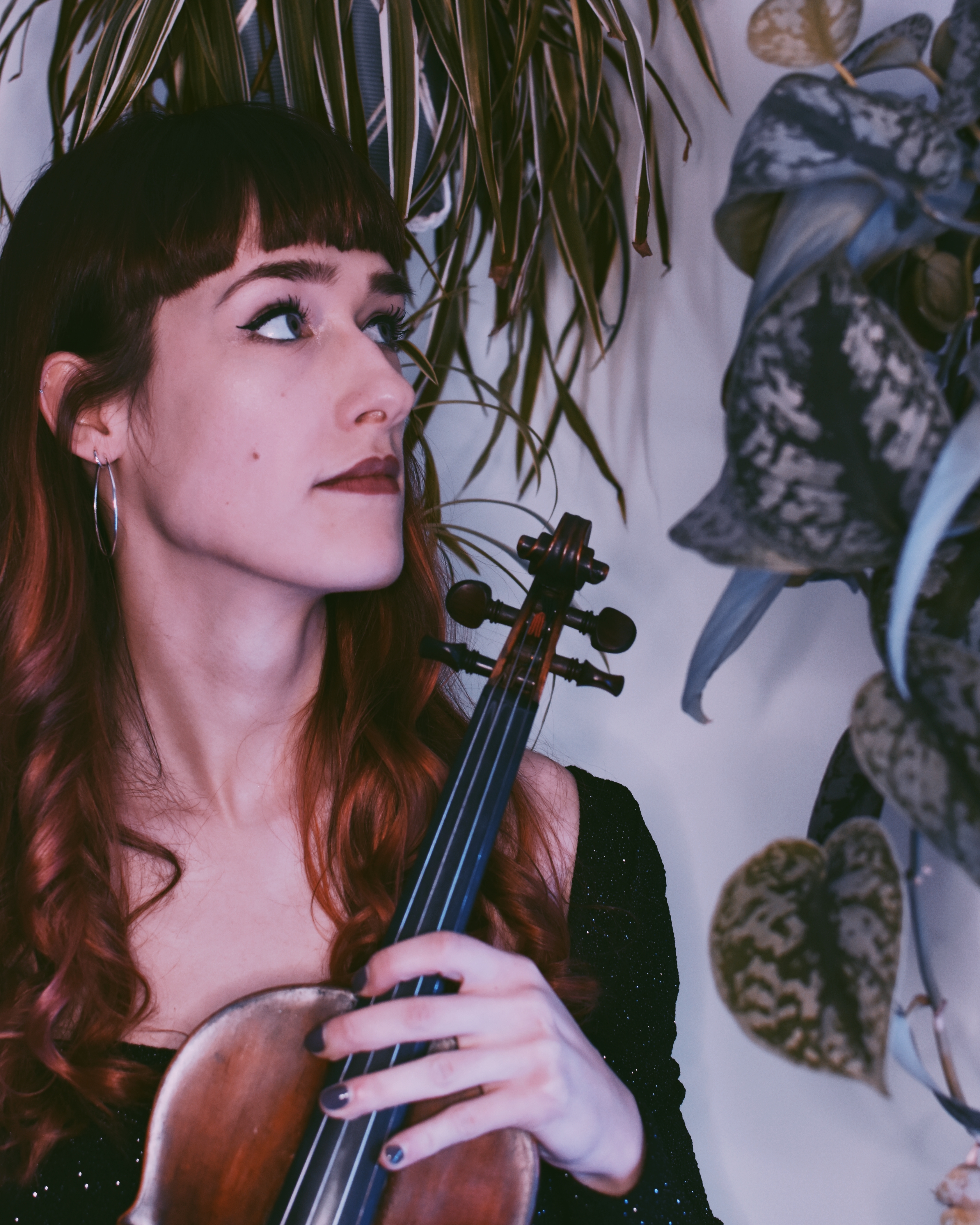 Electric & Acoustic Violinist Jessica