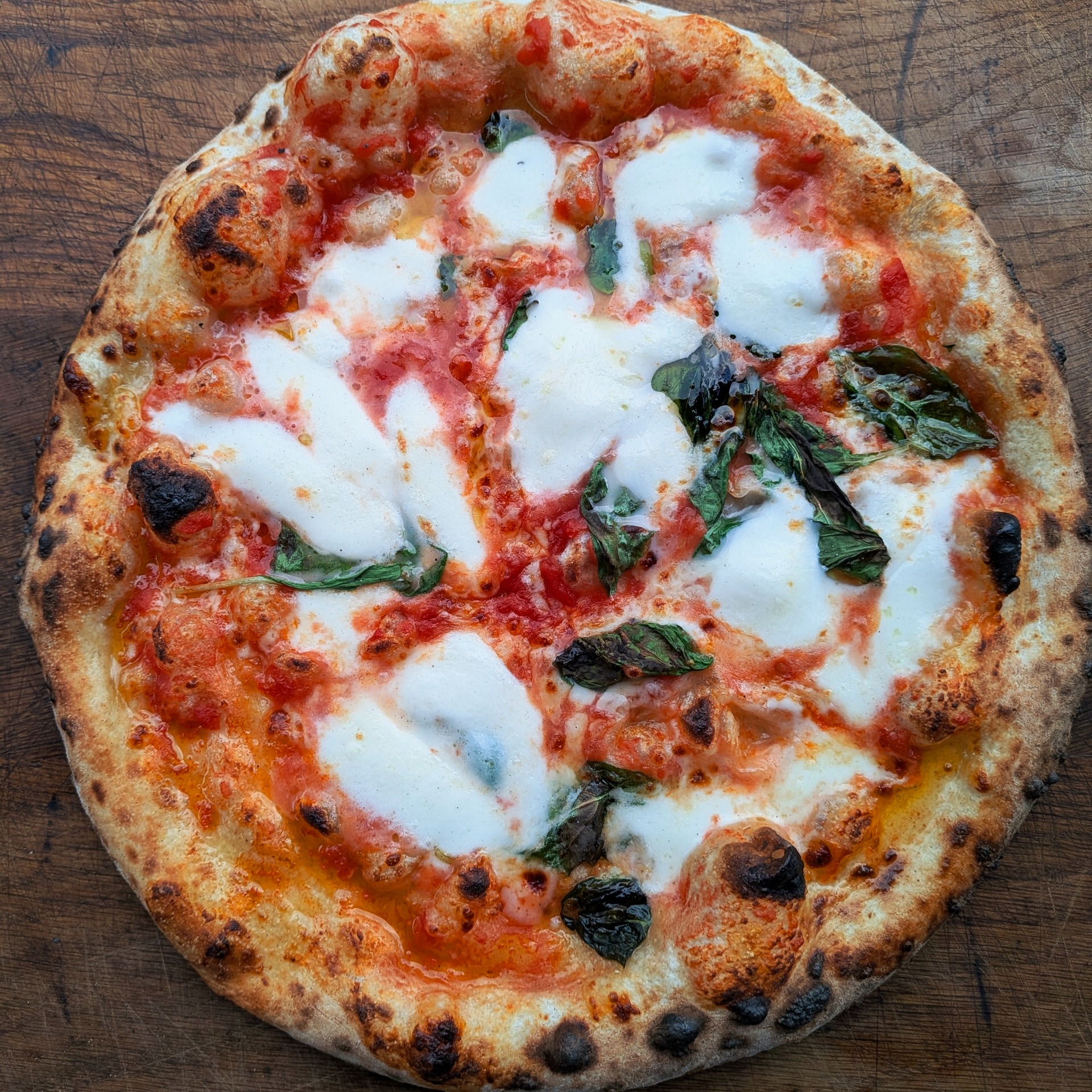 A beautifully baked pizza features a golden crust with melted mozzarella, vibrant red tomato sauce, and fresh basil, evoking a cozy pizzeria vibe.
