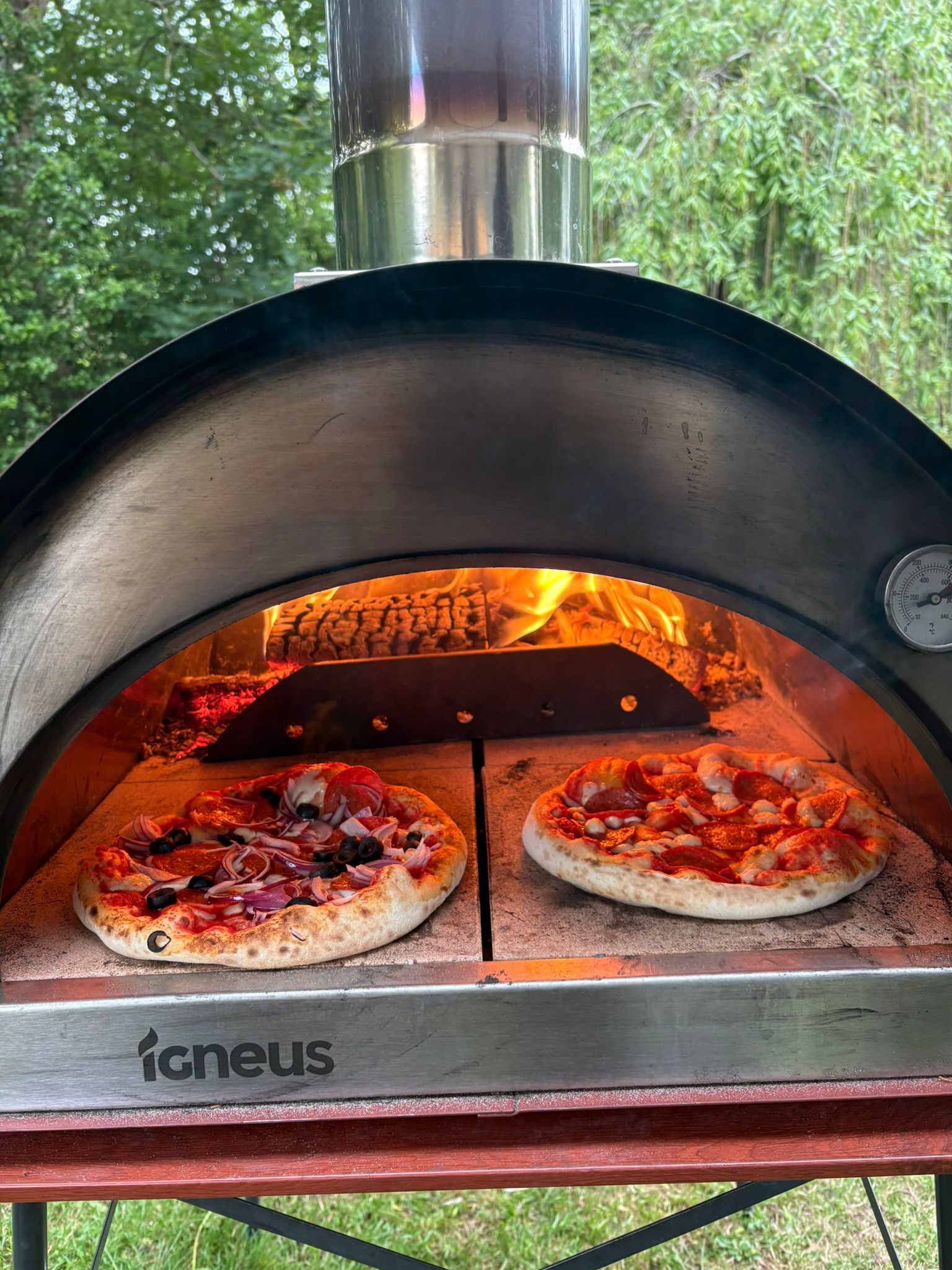 Hand-Crafted Artisanal Wood-Fired Italian Pizzas