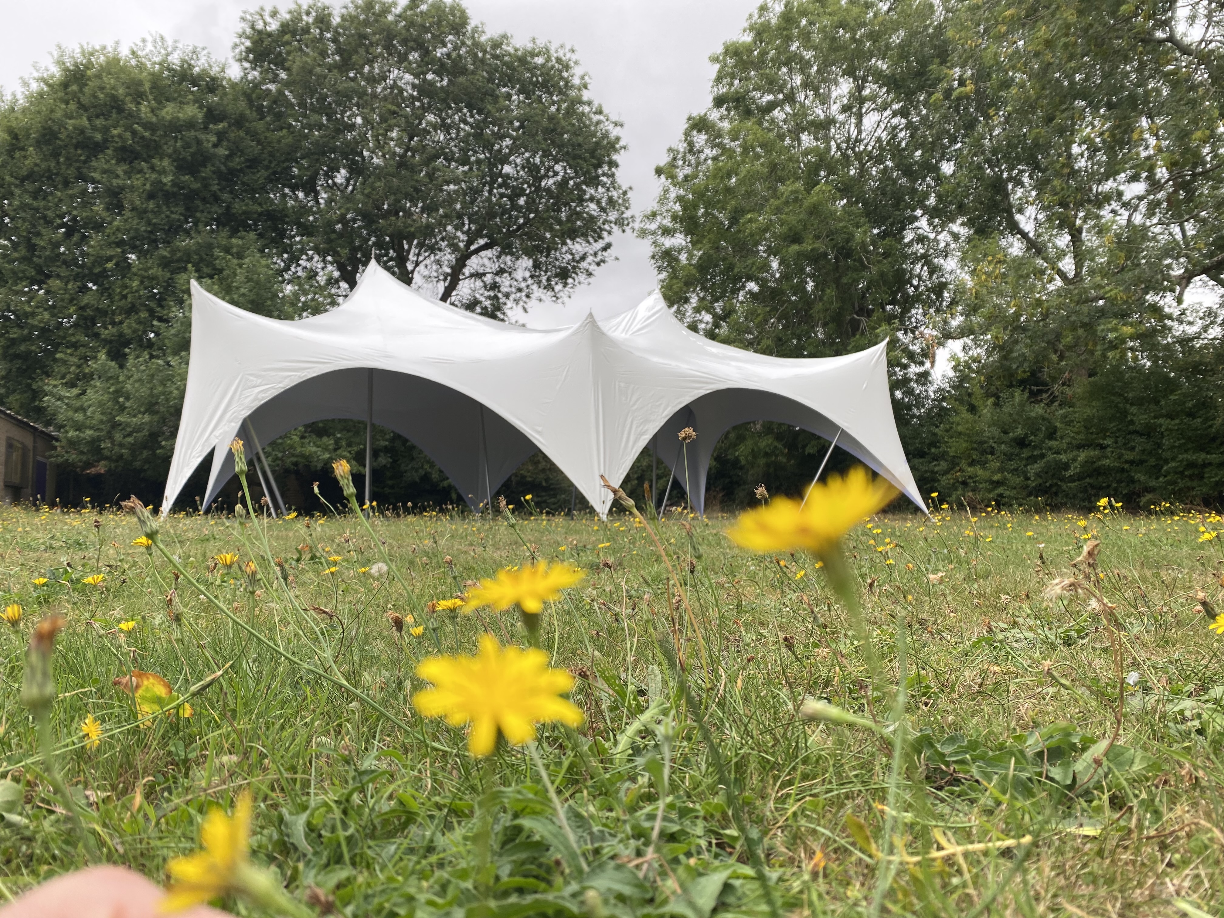 Elegant white tents punctuate a grassy field adorned with vibrant yellow wildflowers, under a soft, overcast sky, ideal for gatherings.