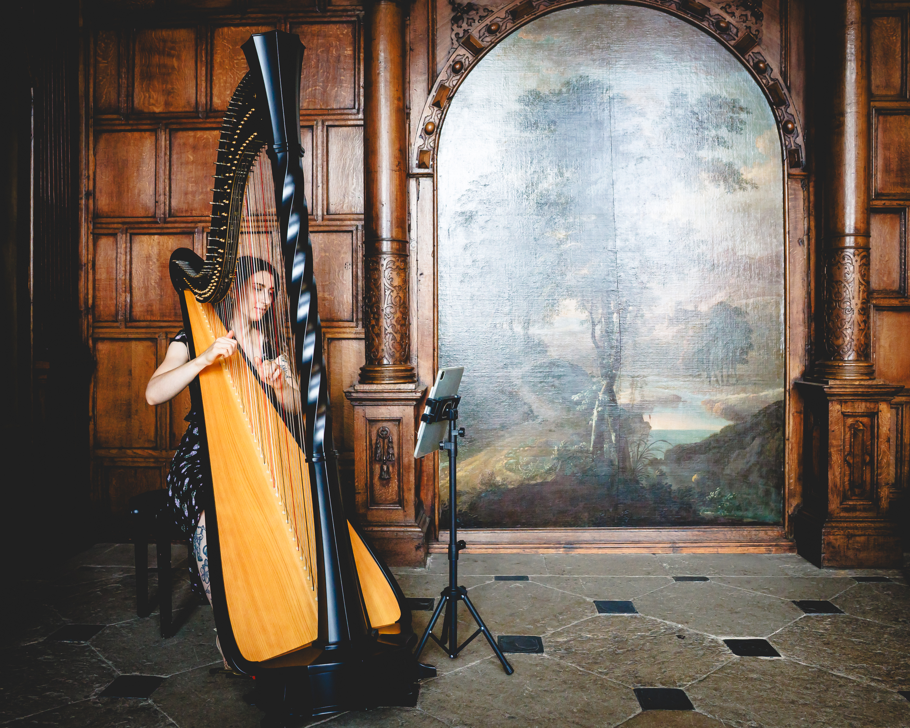 Crafting Timeless Atmospheres Through the Art of the Harp