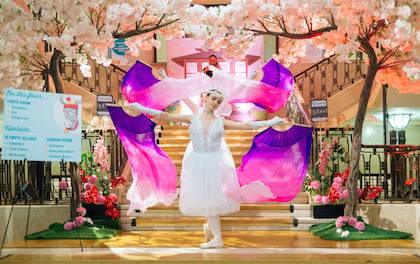 Japanese Cherry Blossom Ballet