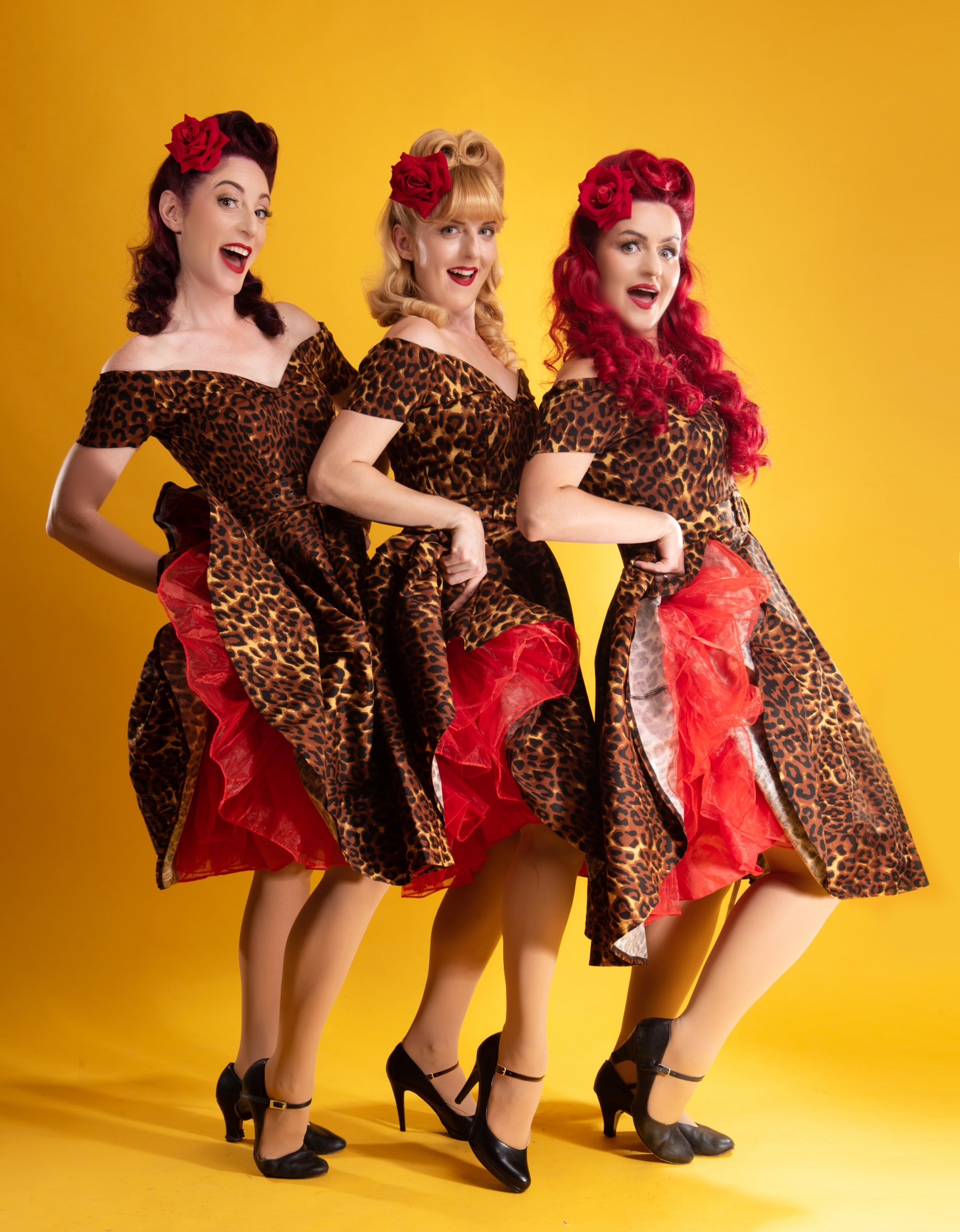 "The Daisy Belles" A Dazzling Vintage Harmony Trio