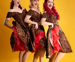 "The Daisy Belles" A Dazzling Vintage Harmony Trio
