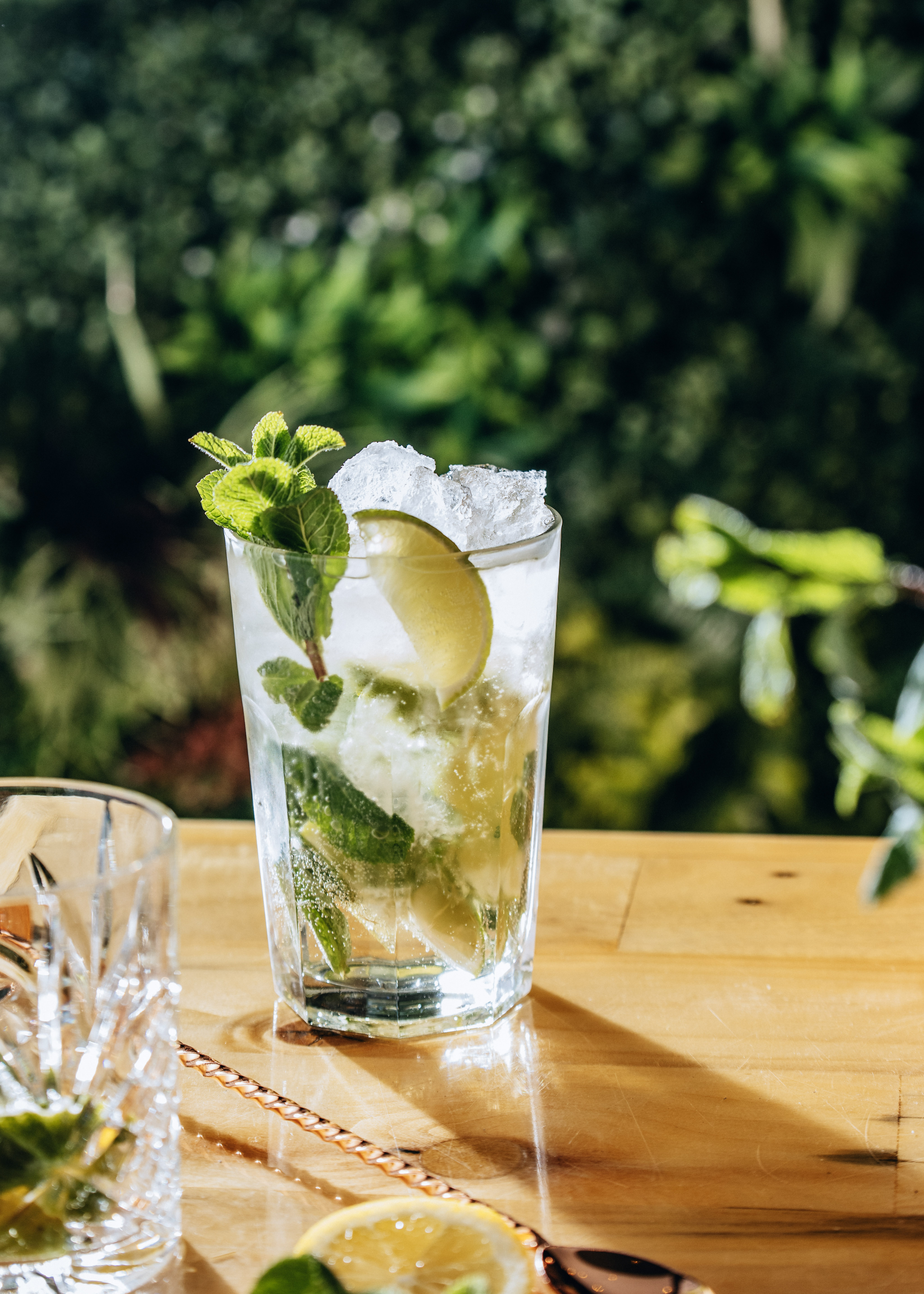 Cocktail Bartender Hire