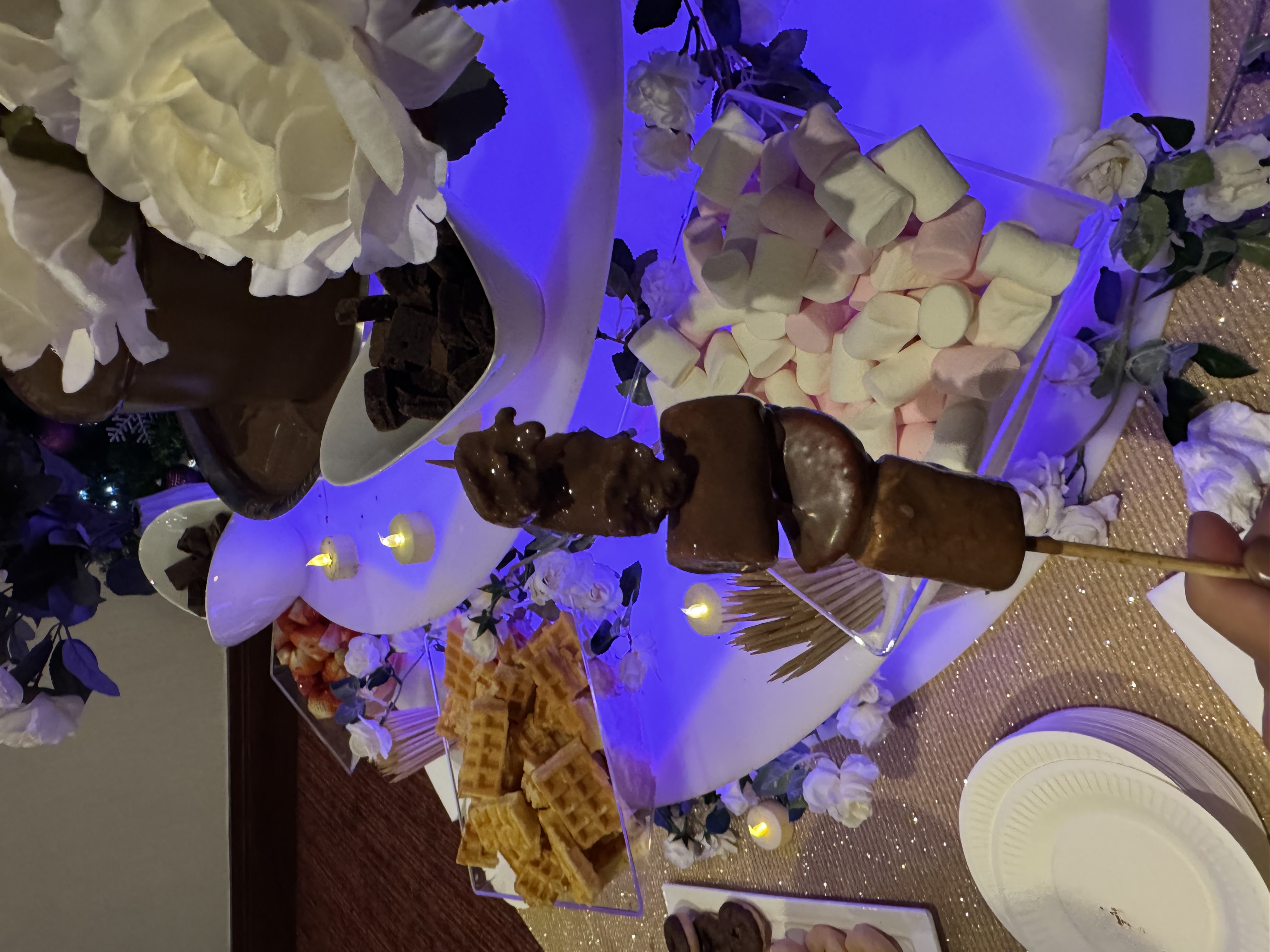 Ultimate Chocolate Fountain with Variety of Dips