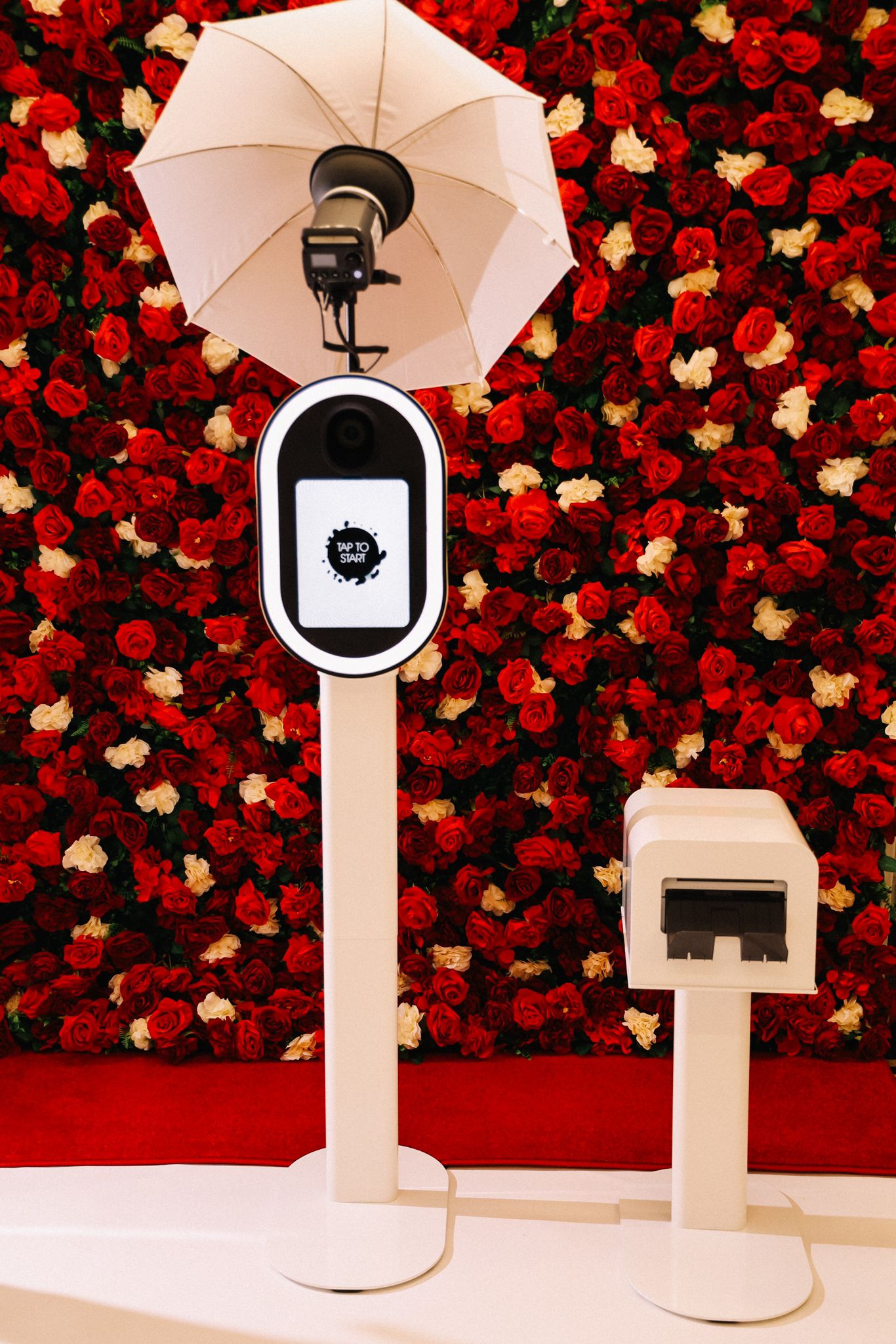 The Elysian Experience: Crafted in Light & Luxury