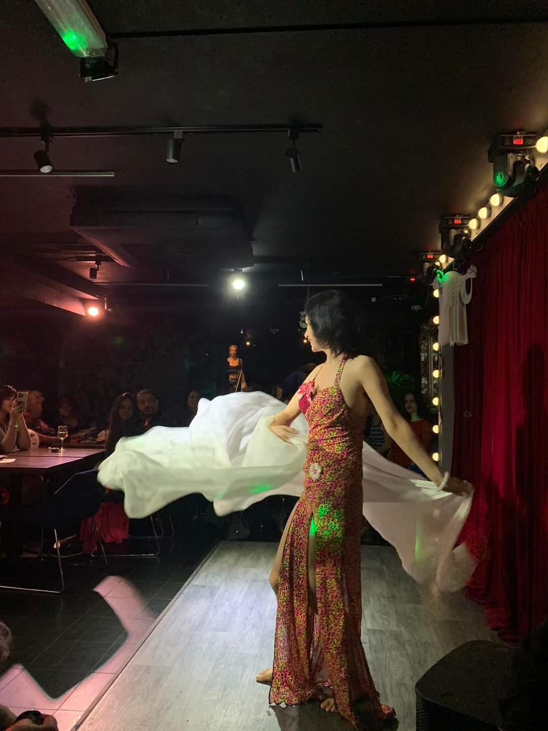 Ting Ting's Belly Dance Workshop & Performance