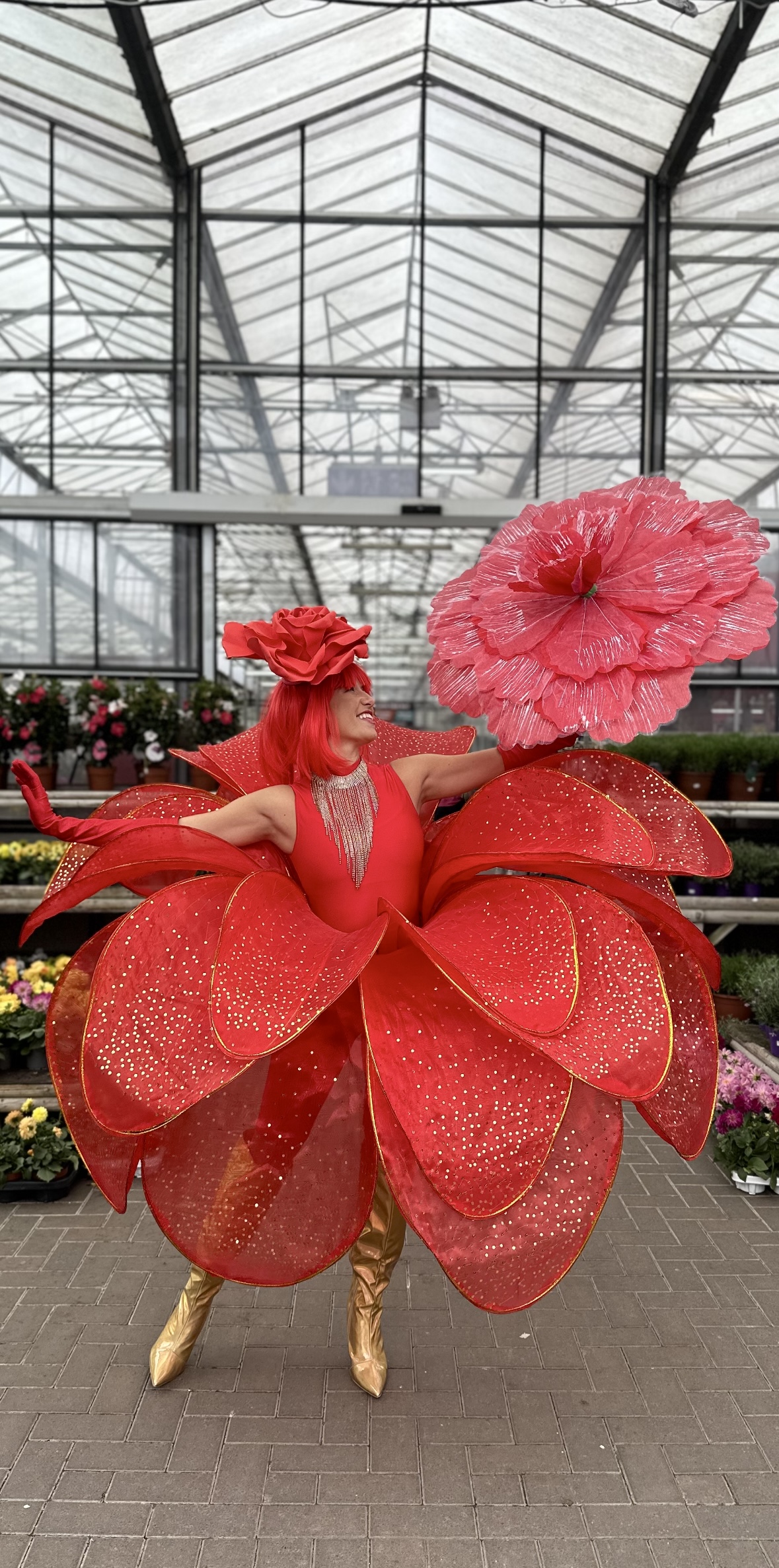 Solo Rose Walk-About Dancer In Colour Of Your Choice