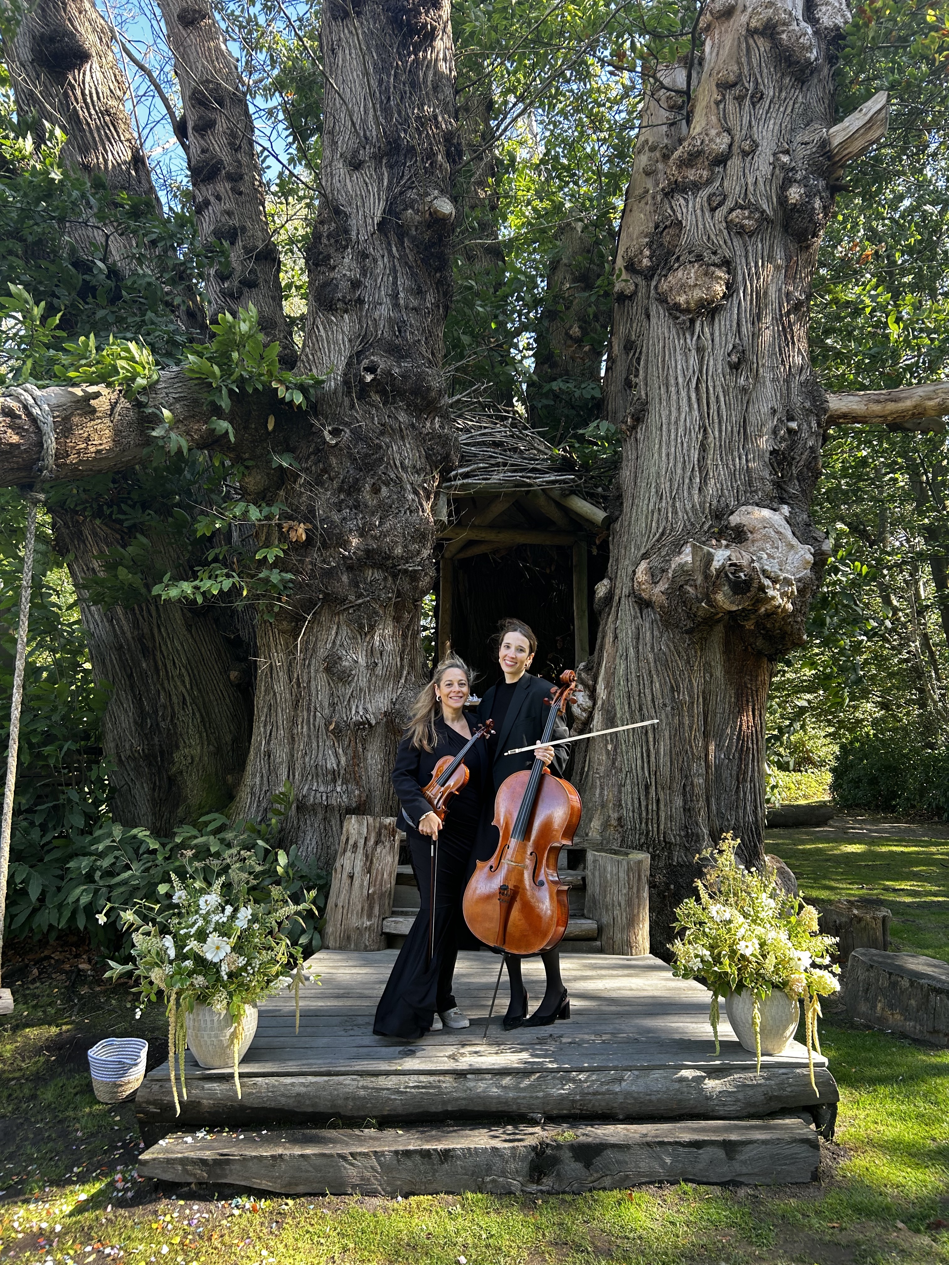 SE Strings Violin & Cello Duo: Beautiful Live Music for Your Event
