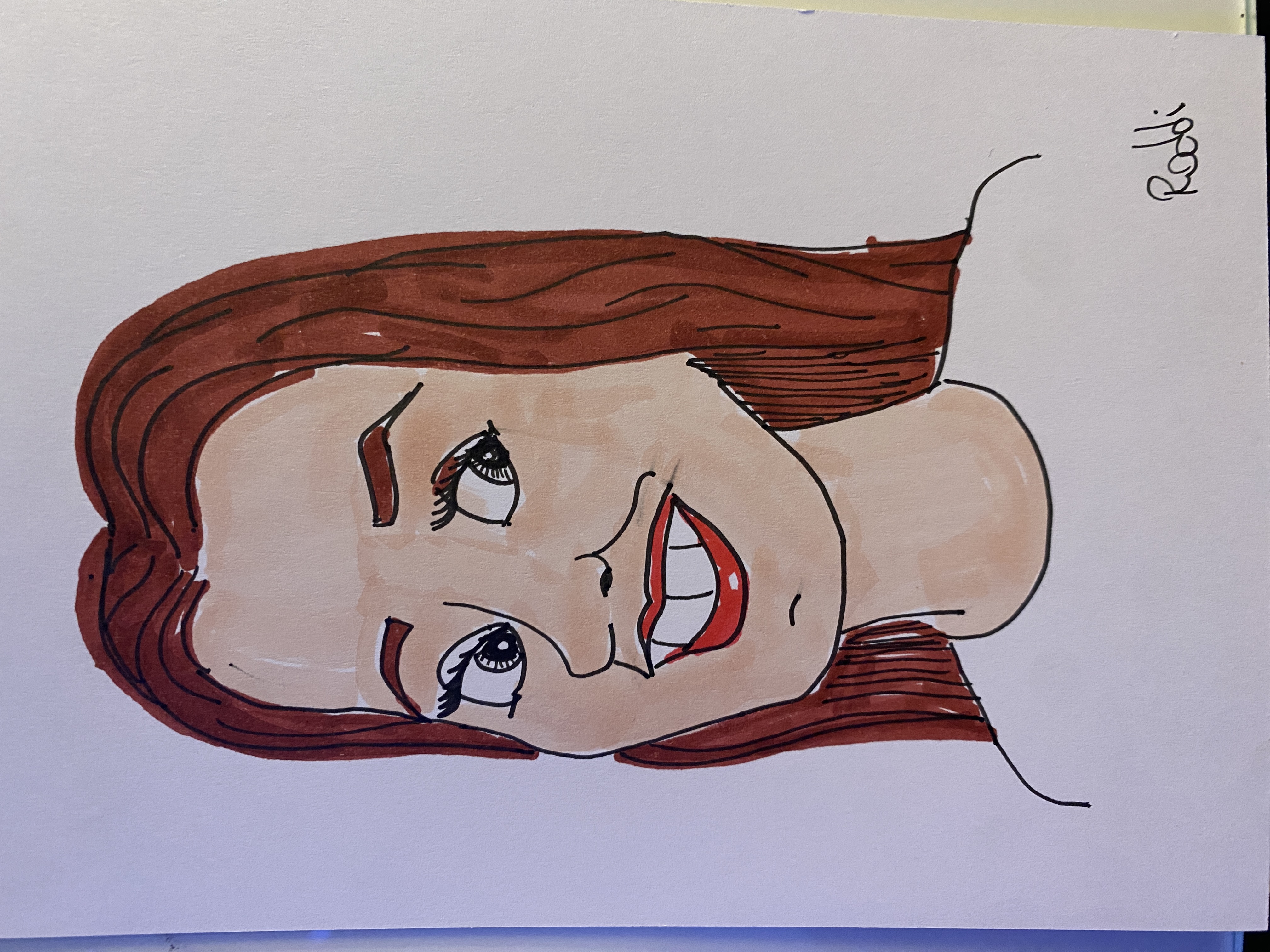Caricature Booth: Mystery Artist Inside Drawing Your Guests