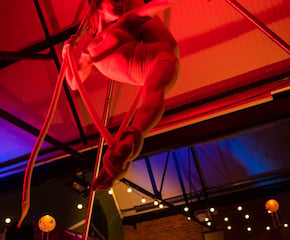 Dynamic Aerial Contortion With Apparatus To Suit Your Event