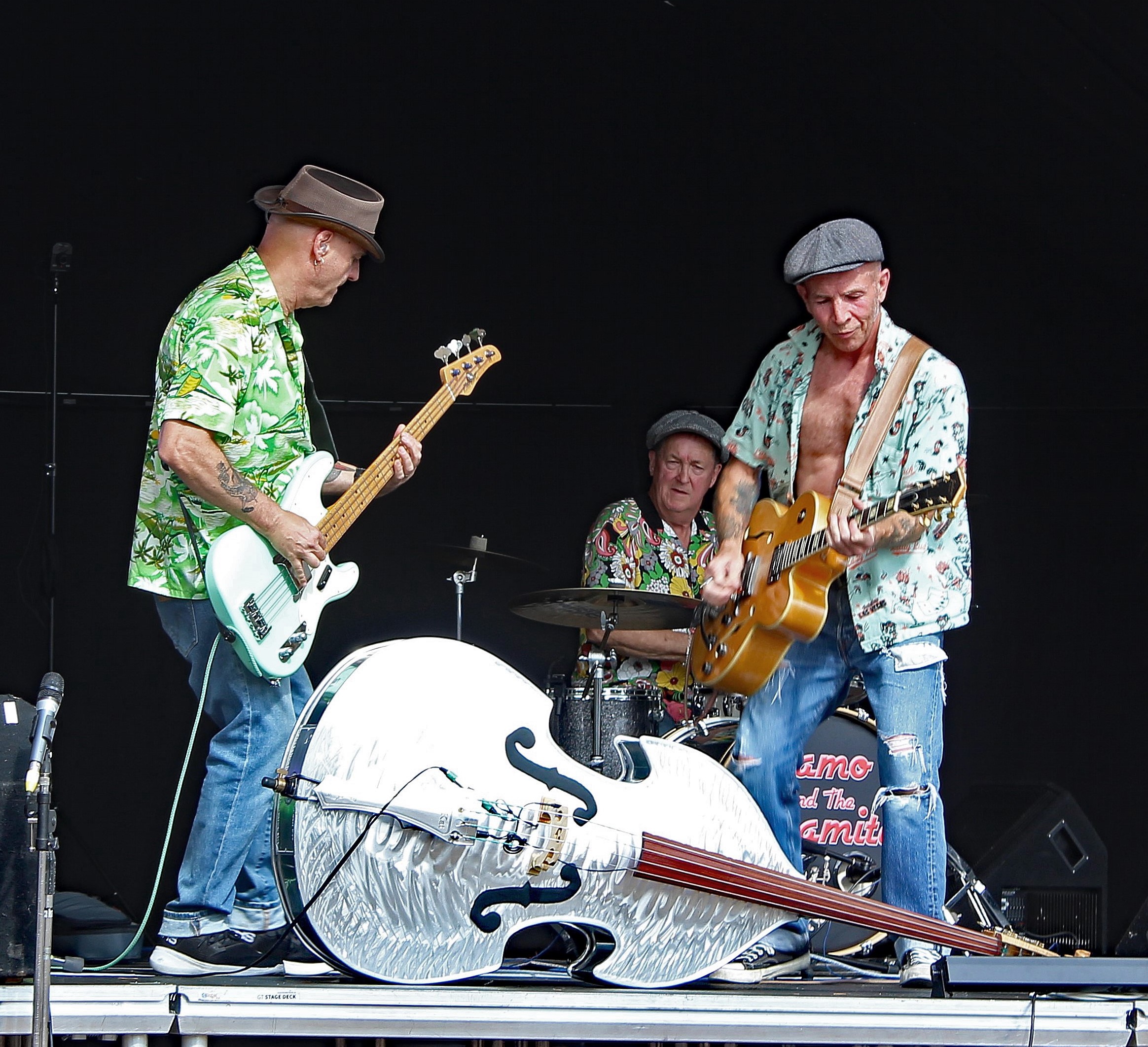 High-Energy 1950s Rock 'n' Roll Rockabilly Trio