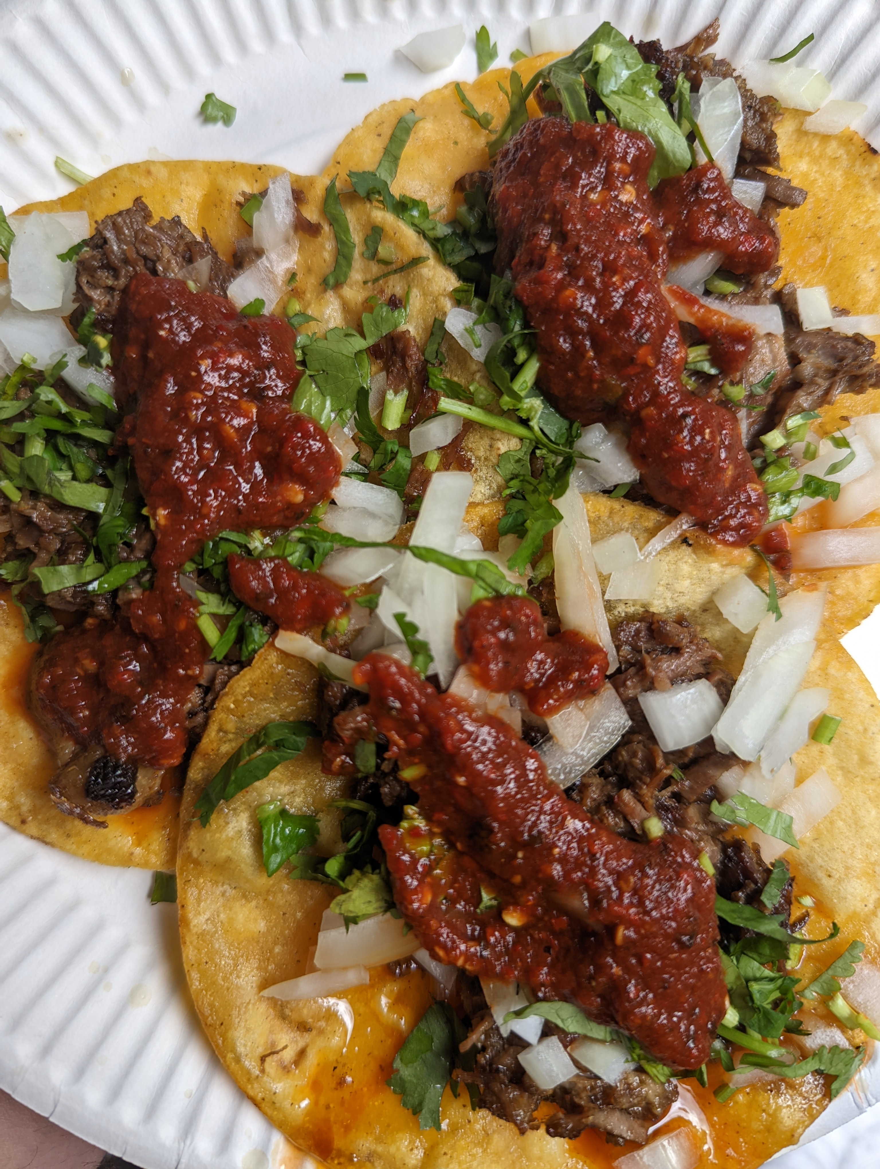 Authentic Mexican Meat & Veggie Tacos & Quesadillas