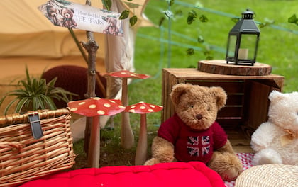 Adorable 6-Meter Teddy Bear Picnic Tent