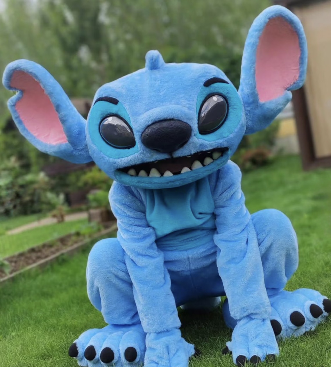 Mascot Madness That Kids Will Love