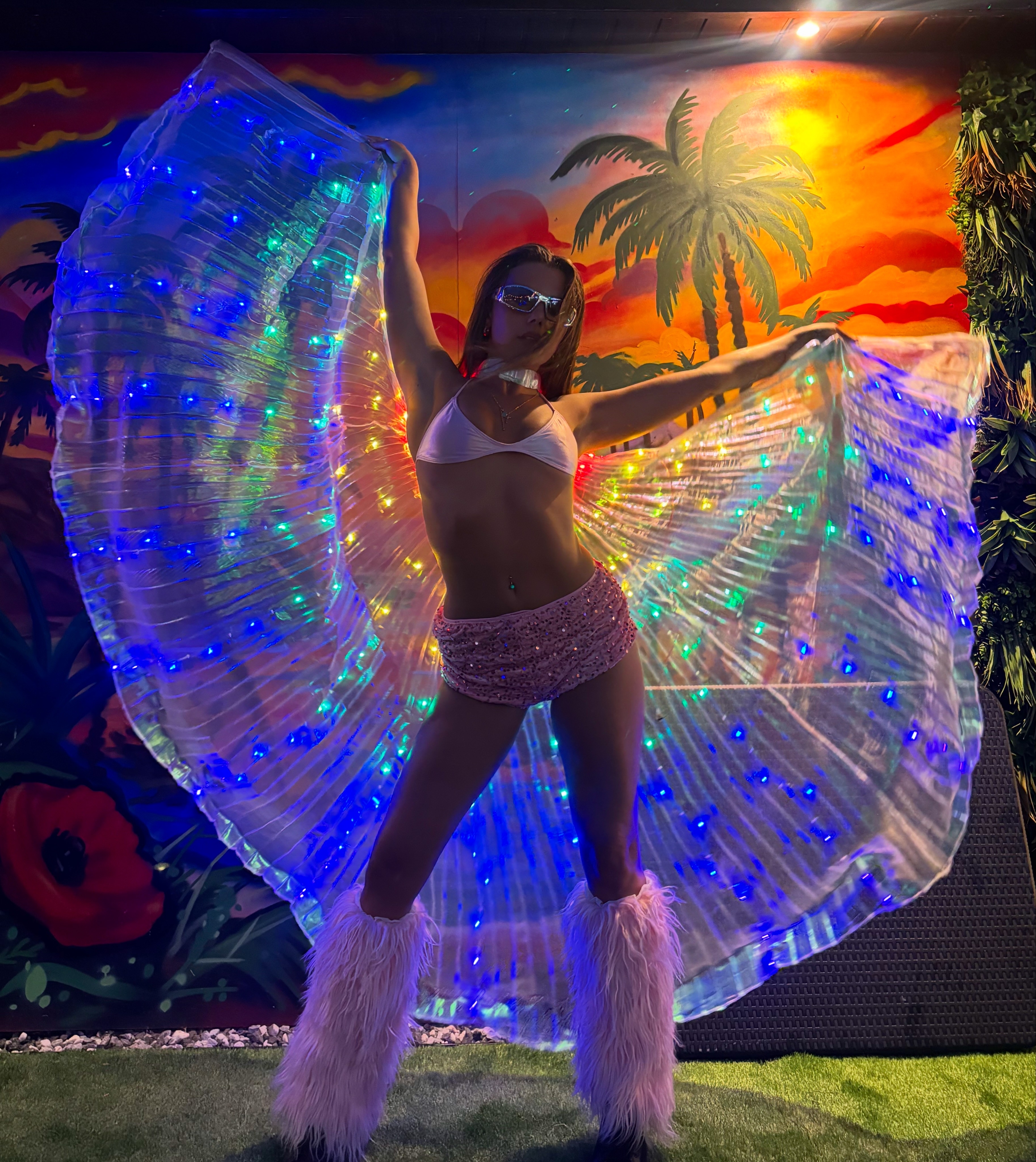 LED Light Wing Dancers ✨
