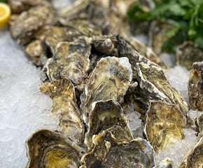 Pop-up Oyster & Champagne Borough Market Experience