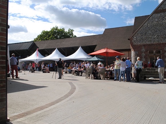 15m x 5m Pagoda Party Tent