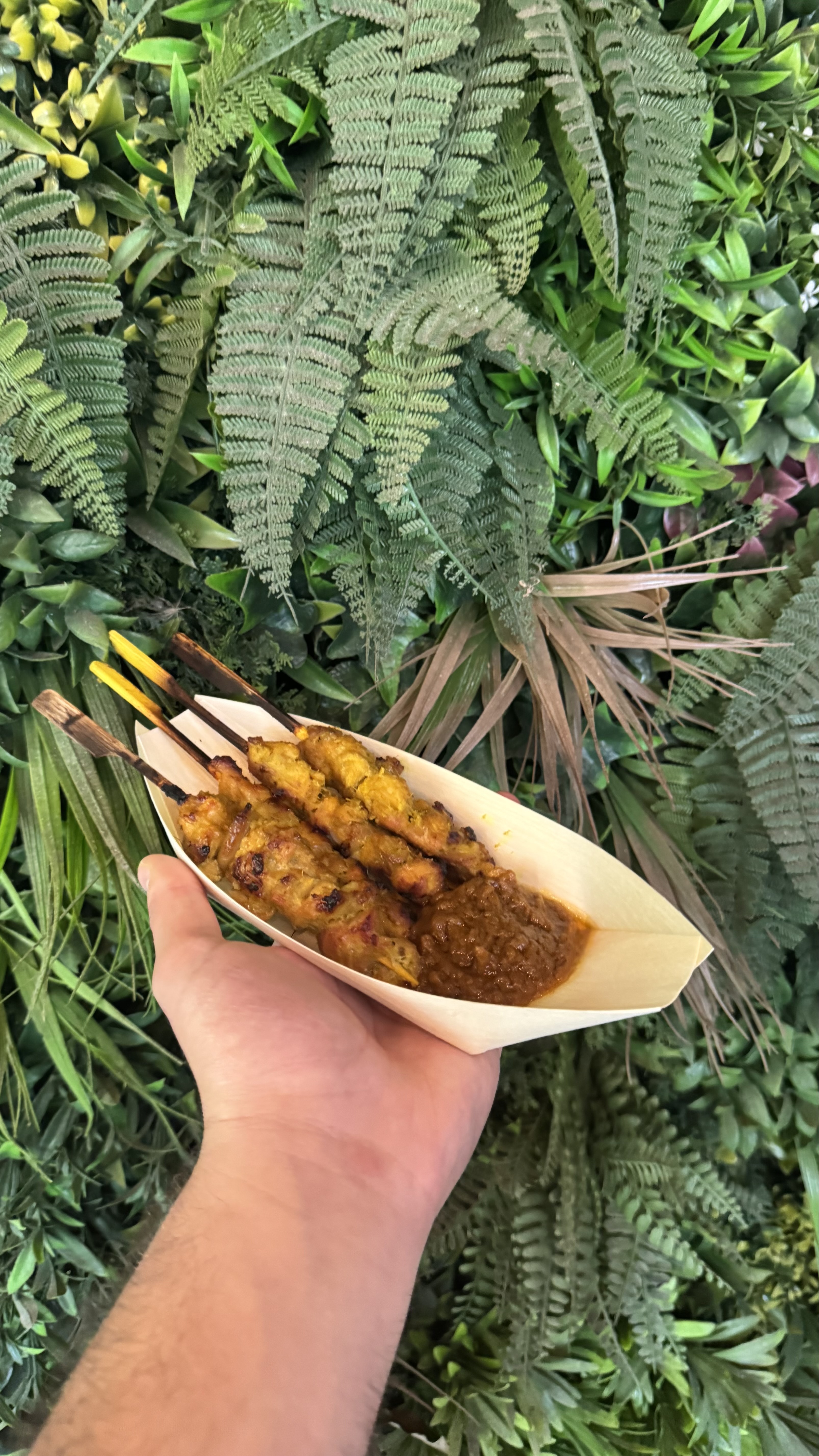 Malaysian Charcoal-Grilled Satay Street Food with Live Grill Experience