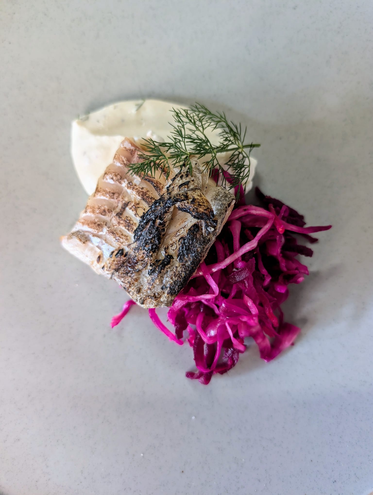 Modern European 4-Course Menu with Wild-Foraged & Home-Grown Ingredients