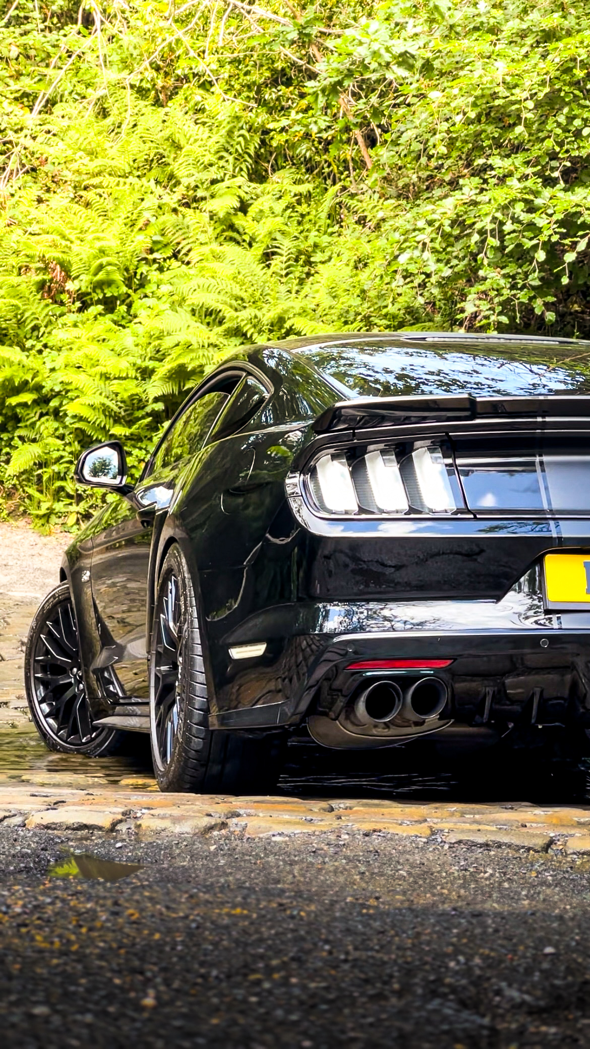 Limited Edition Mustang GT500 Roush Stage 3