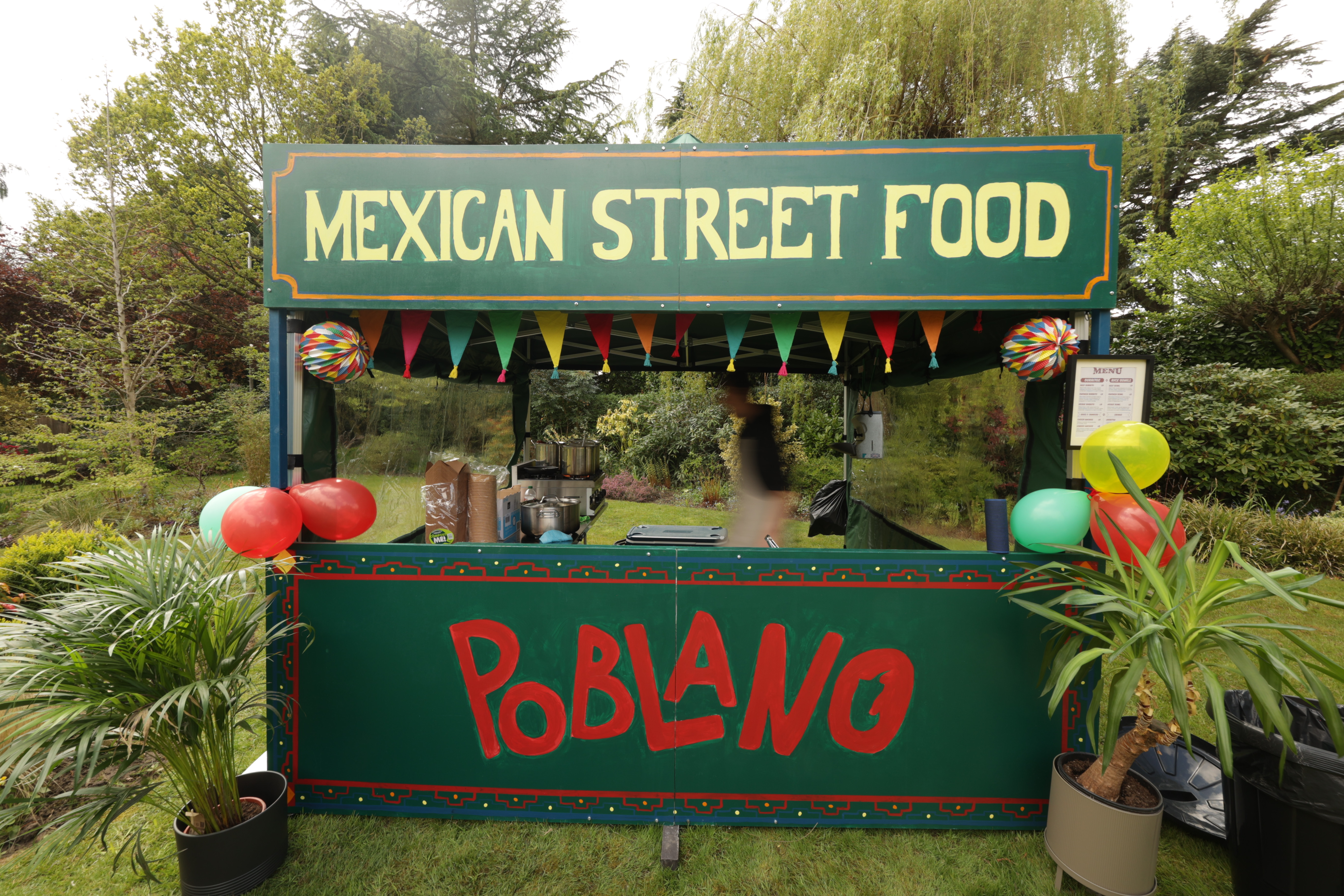 Vibrant Mexican Street Food 🌯