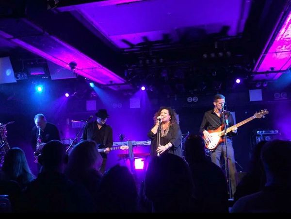 "The New Mojos" Premier Soul, Funk & Disco Band